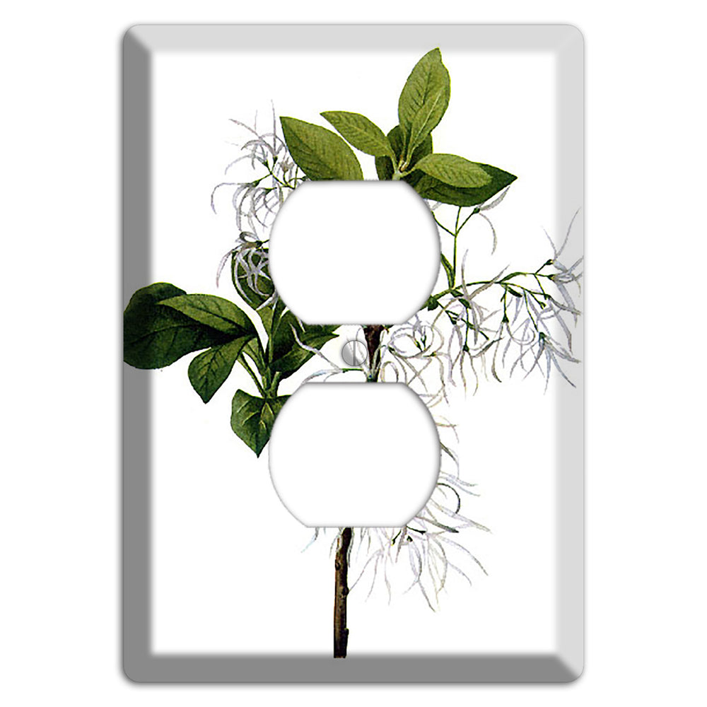 Chionathus Virginiana Duplex Outlet Wallplate