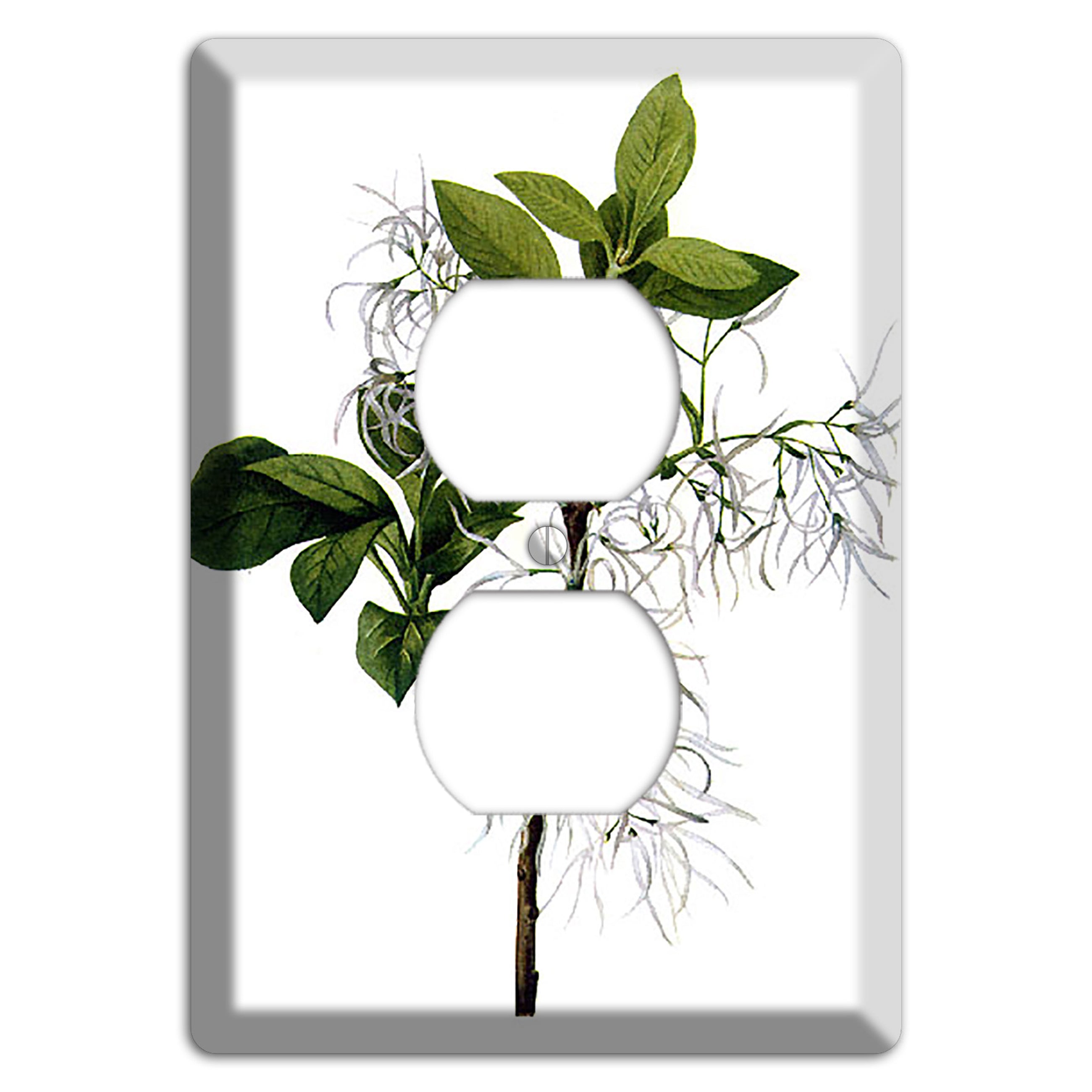 Chionathus Virginiana Duplex Outlet Wallplate