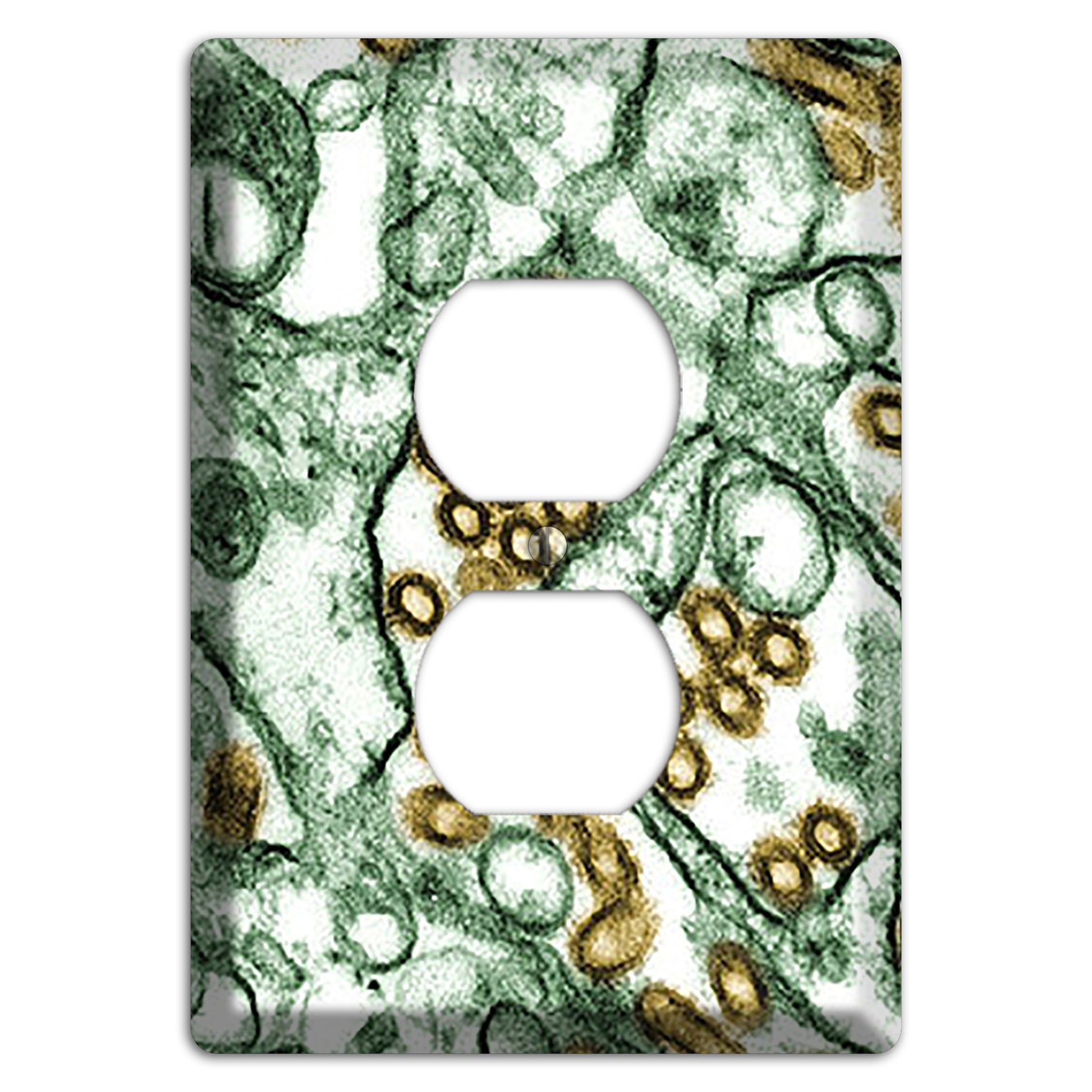 influenza A H5N1 Duplex Outlet Wallplate