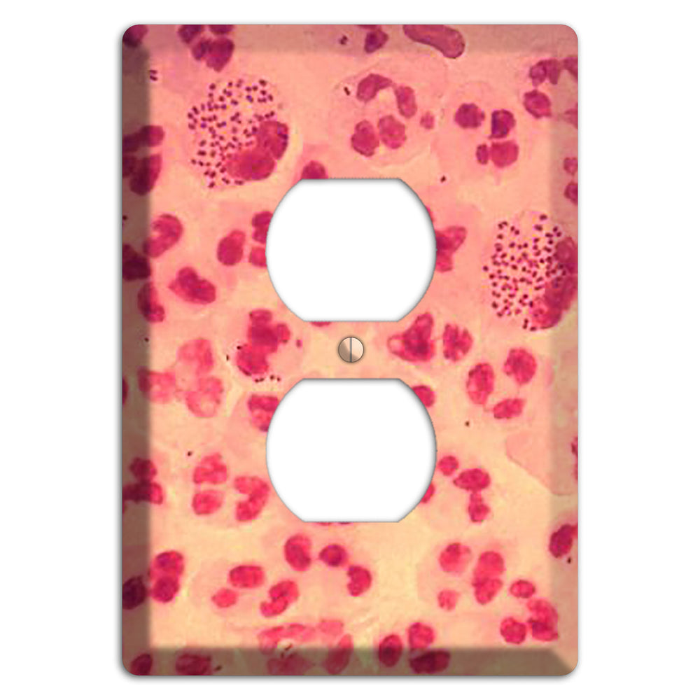 Gonococcal Urethritis Duplex Outlet Wallplate