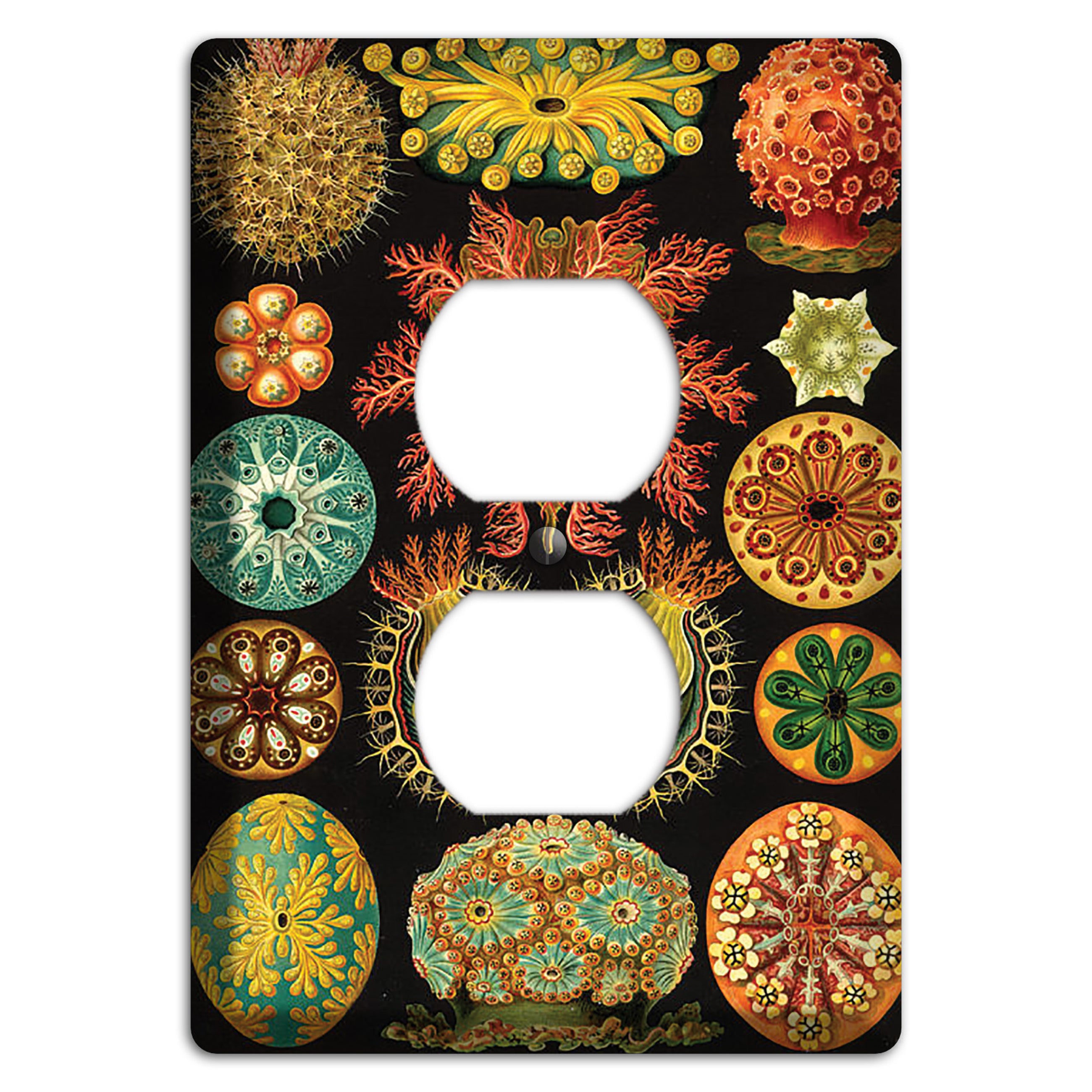 Haeckel - Ascidiae Duplex Outlet Wallplate