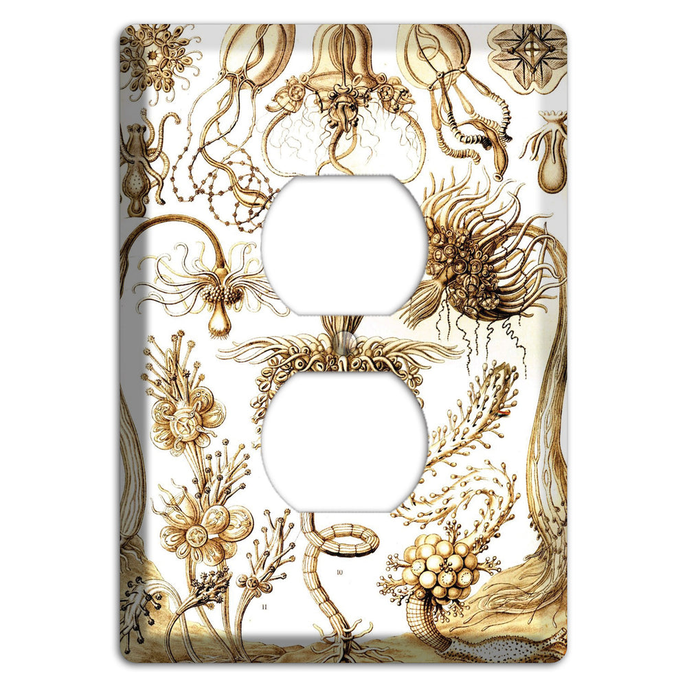 Haeckel - Tubulariae Duplex Outlet Wallplate