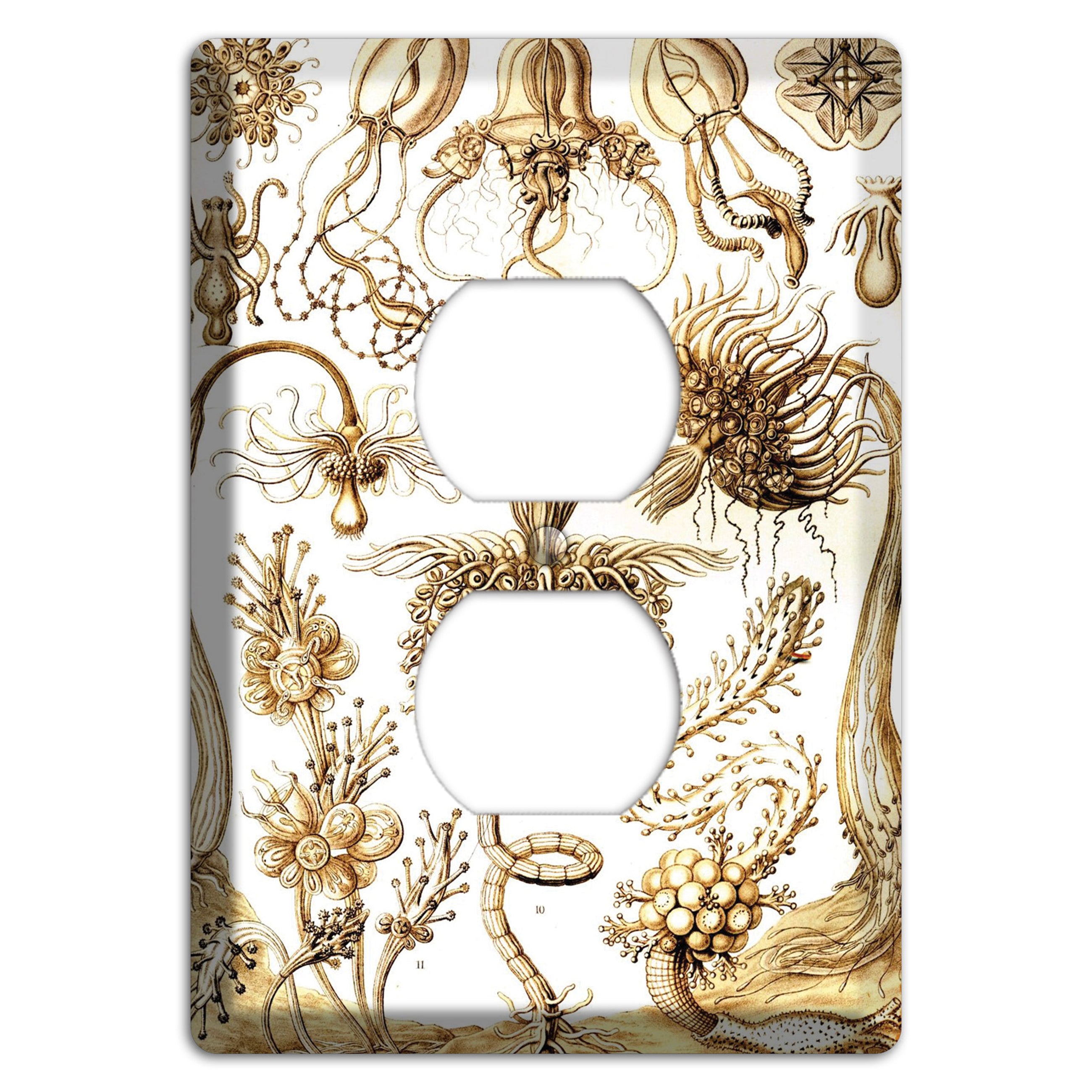 Haeckel - Tubulariae Duplex Outlet Wallplate