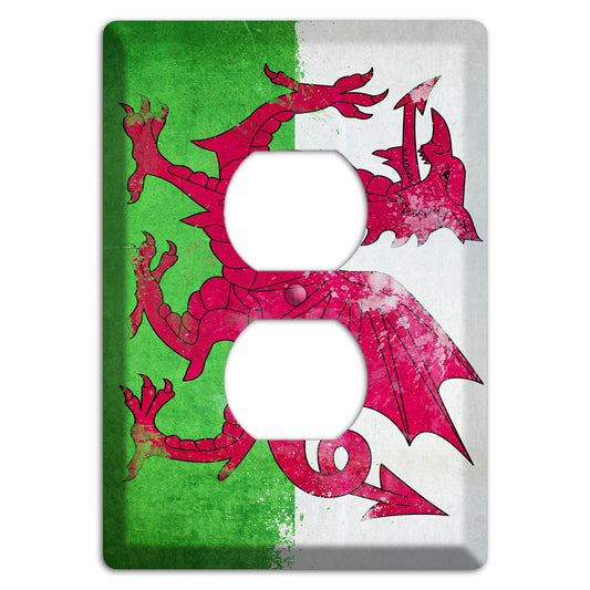 Wales Cover Plates Duplex Outlet Wallplate