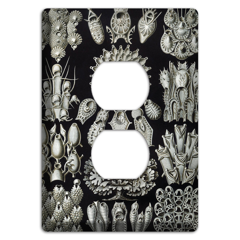 Haeckel - Bryozoa Duplex Outlet Wallplate
