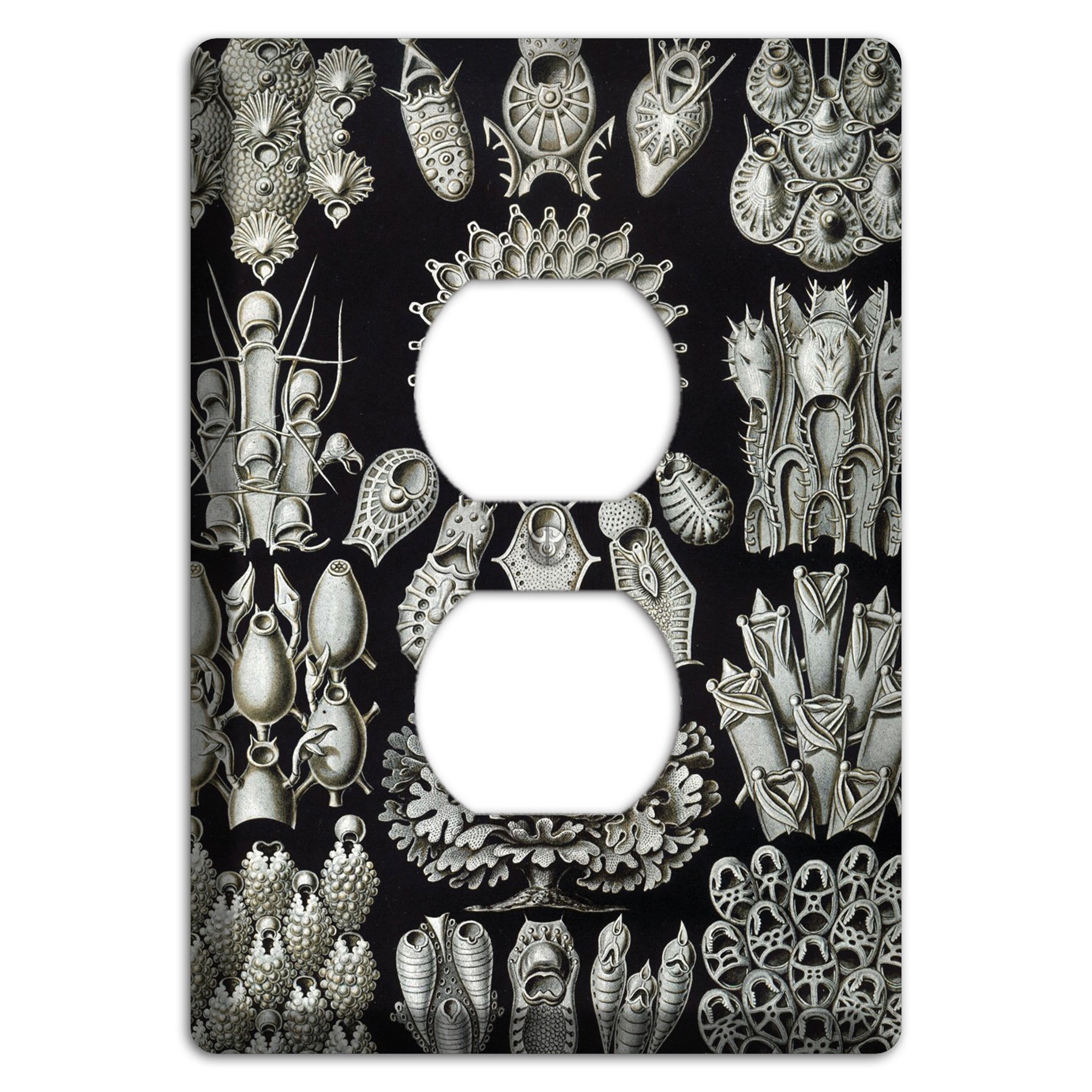Haeckel - Bryozoa Duplex Outlet Wallplate