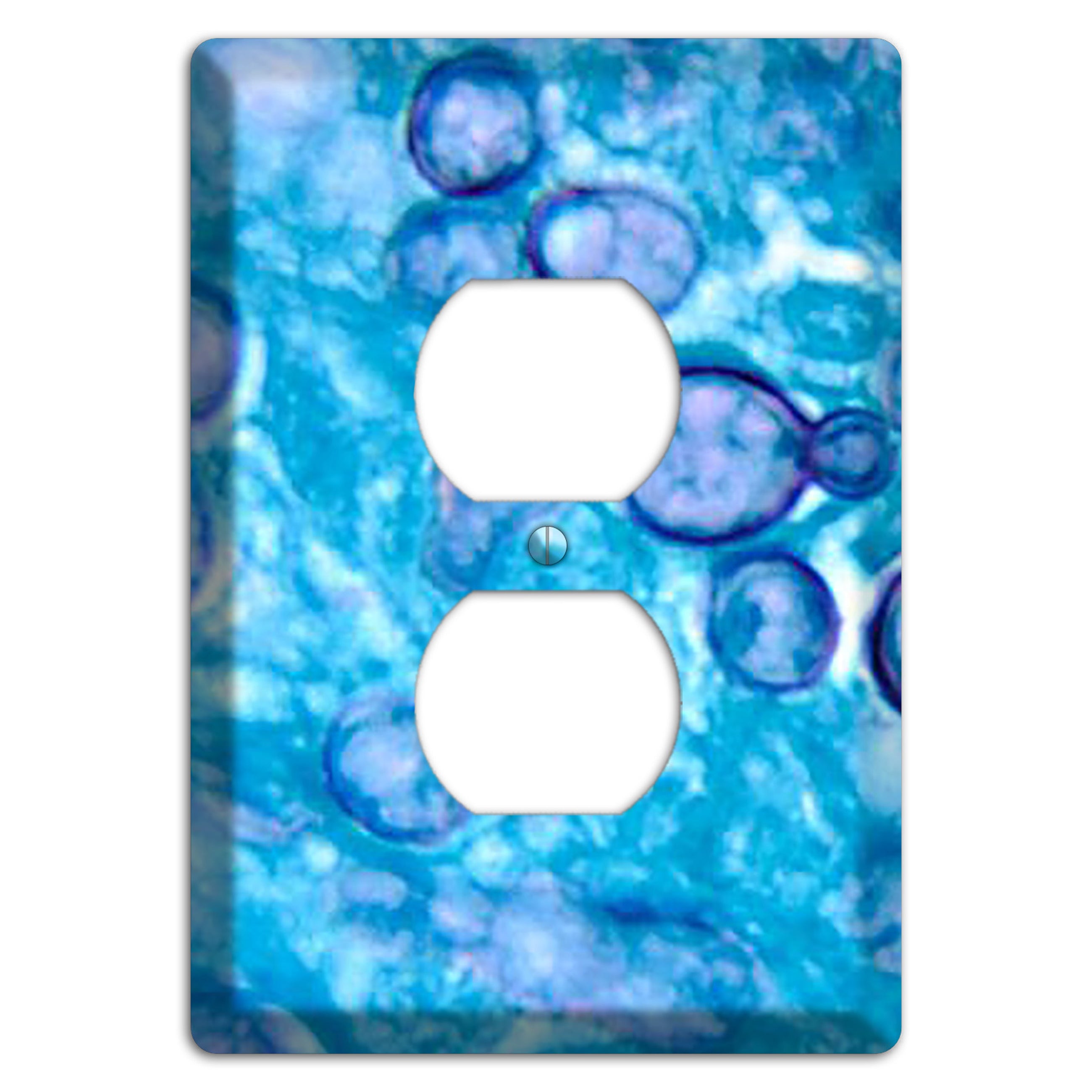 Histoplasma Capsulatum Duboisii Duplex Outlet Wallplate