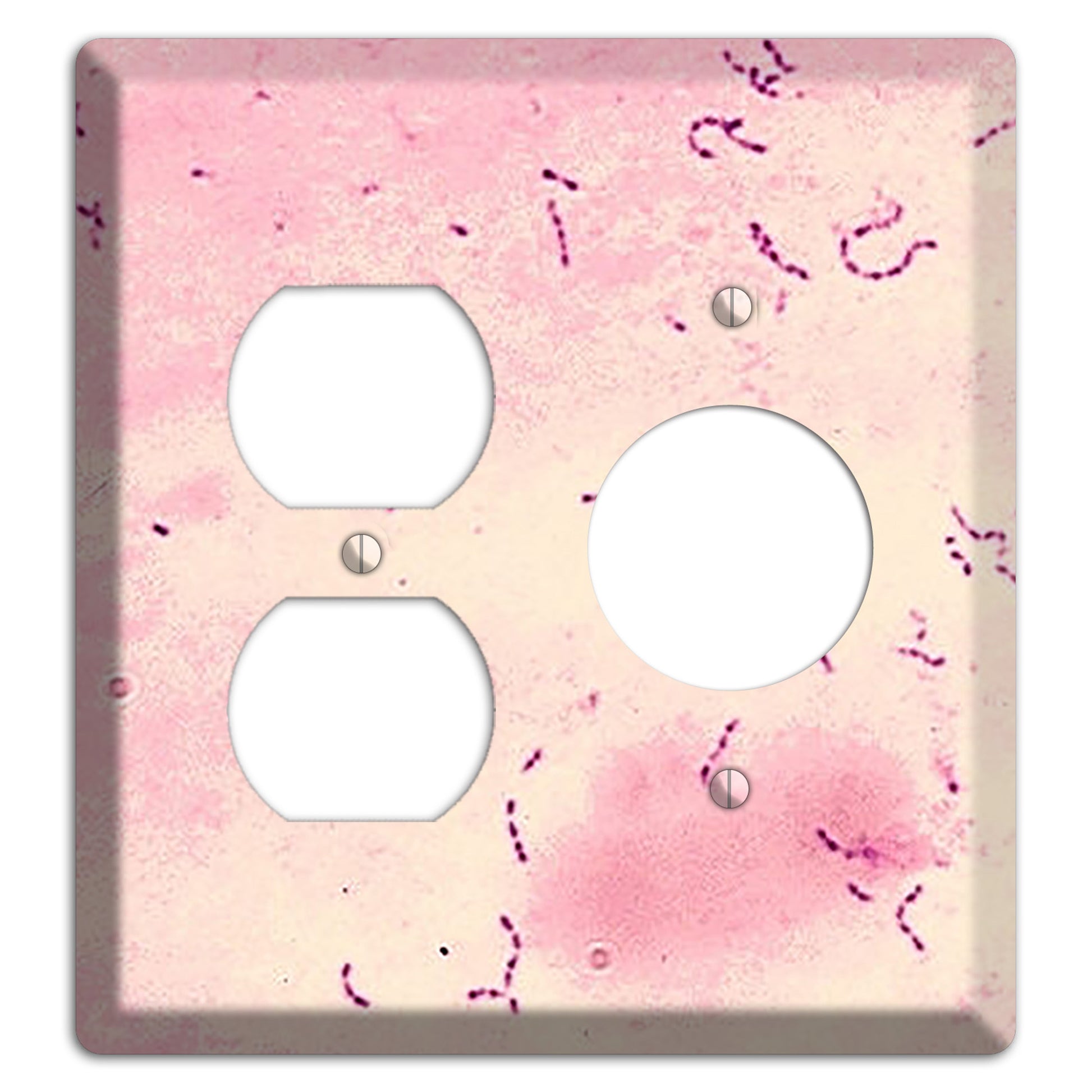 Streptococcus Mutans Duplex / Receptacle Wallplate