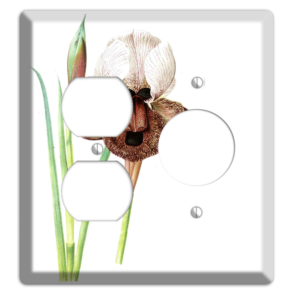 White iris Duplex / Receptacle Wallplate
