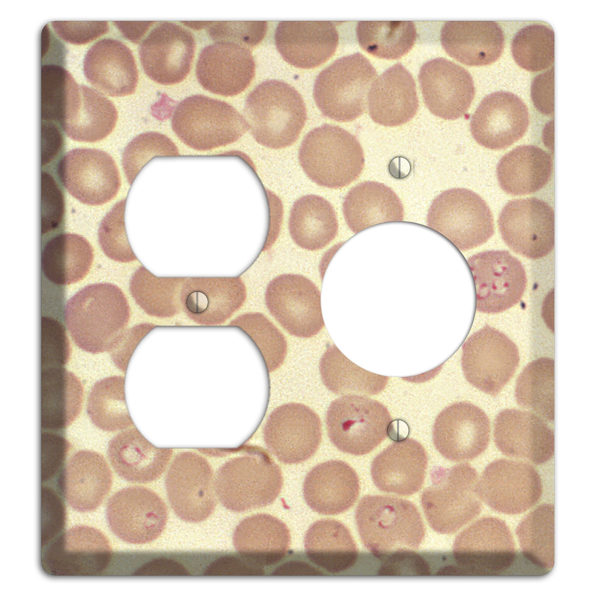Babiesa Duplex / Receptacle Wallplate