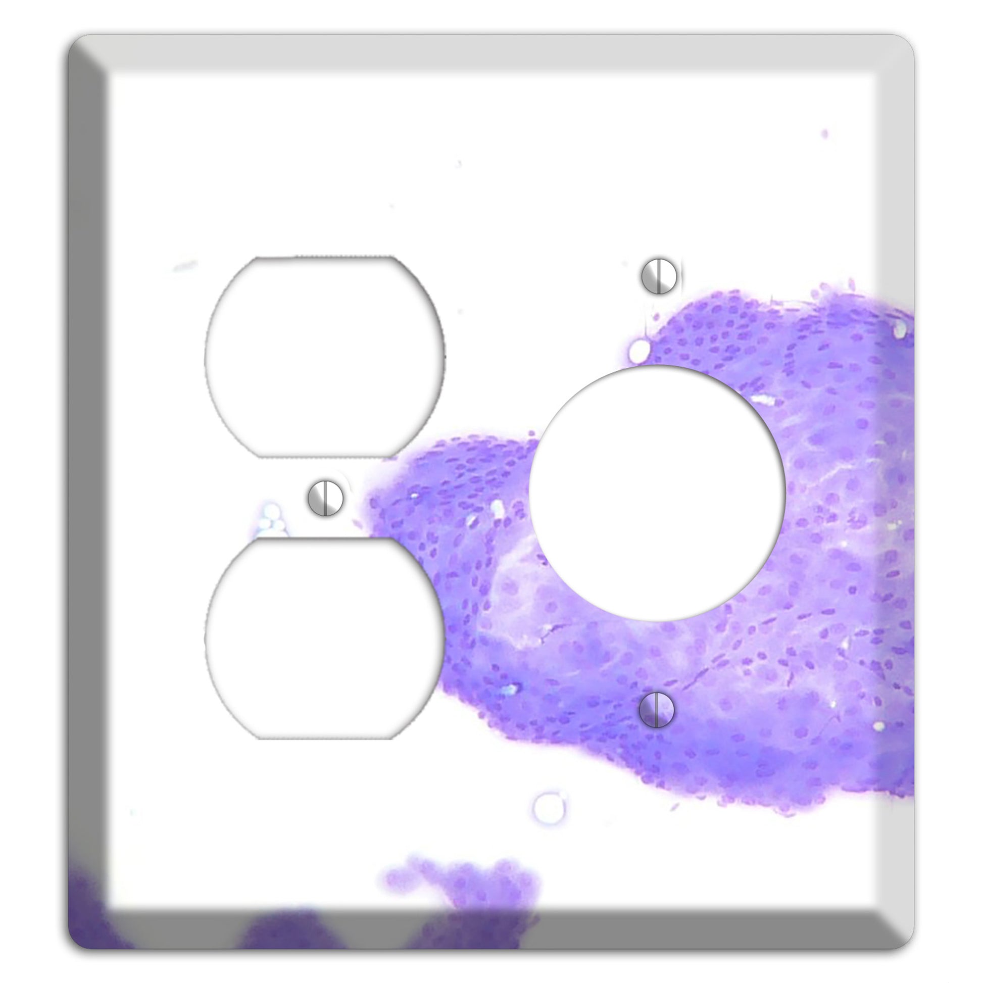 Perianal Gland Tumor Cytology Duplex / Receptacle Wallplate