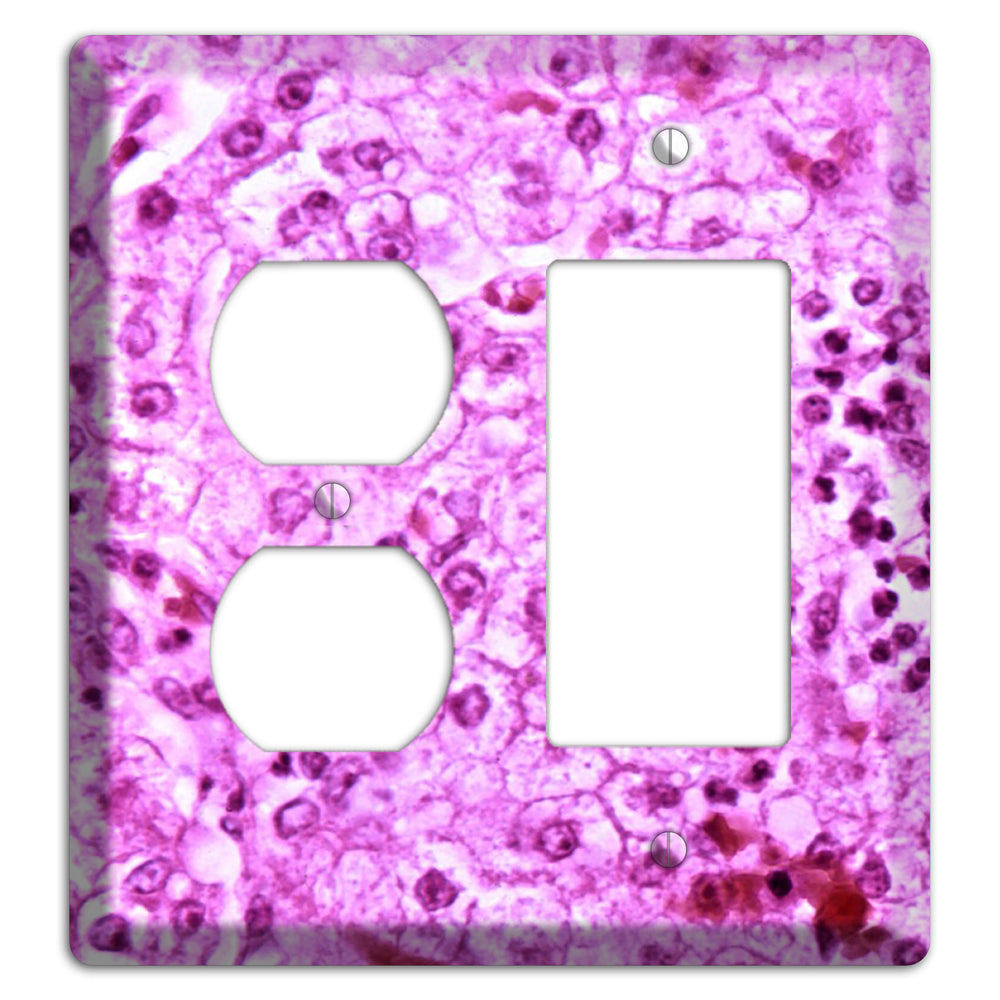 Lores Duplex / Rocker Wallplate