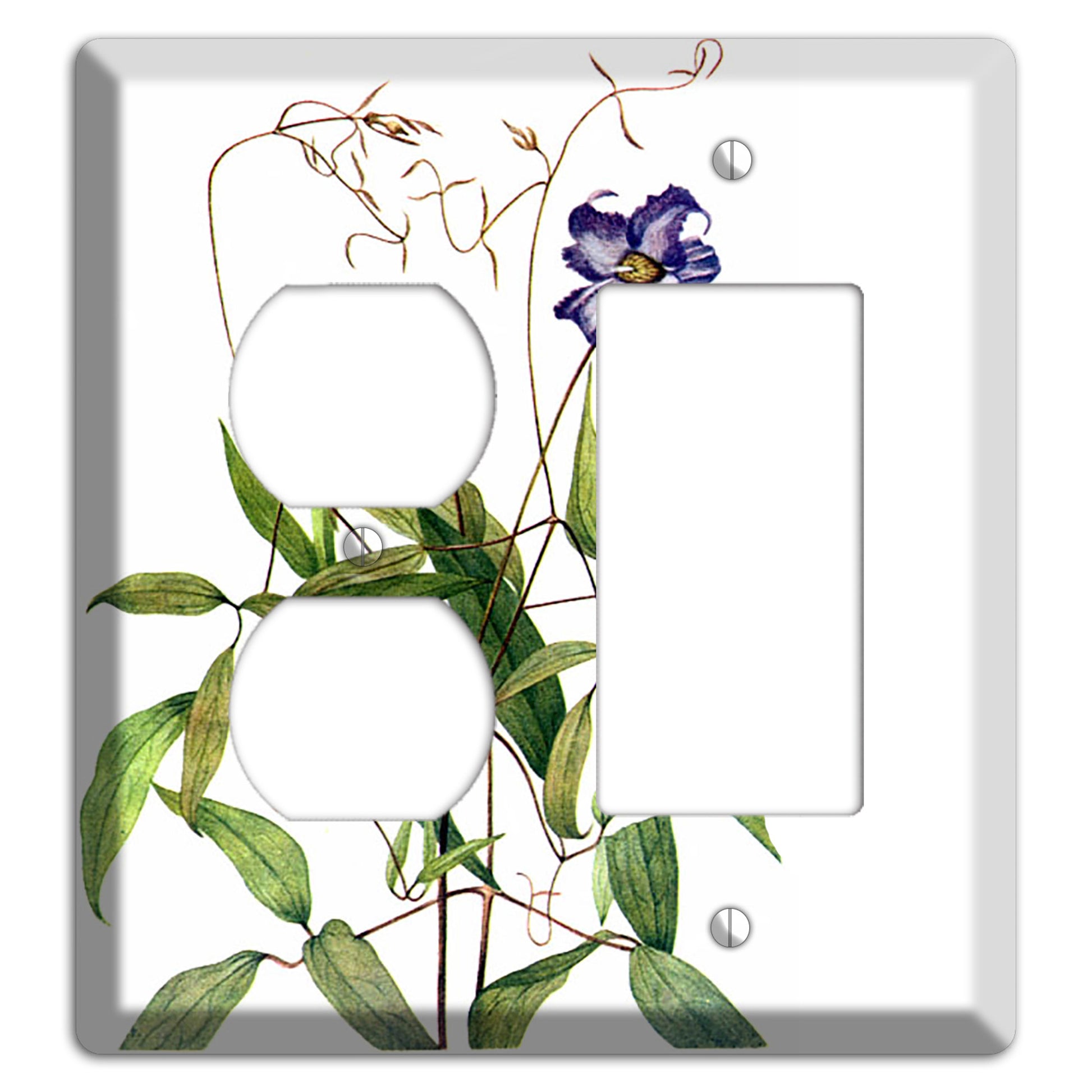 Clematis Crispa Duplex / Rocker Wallplate