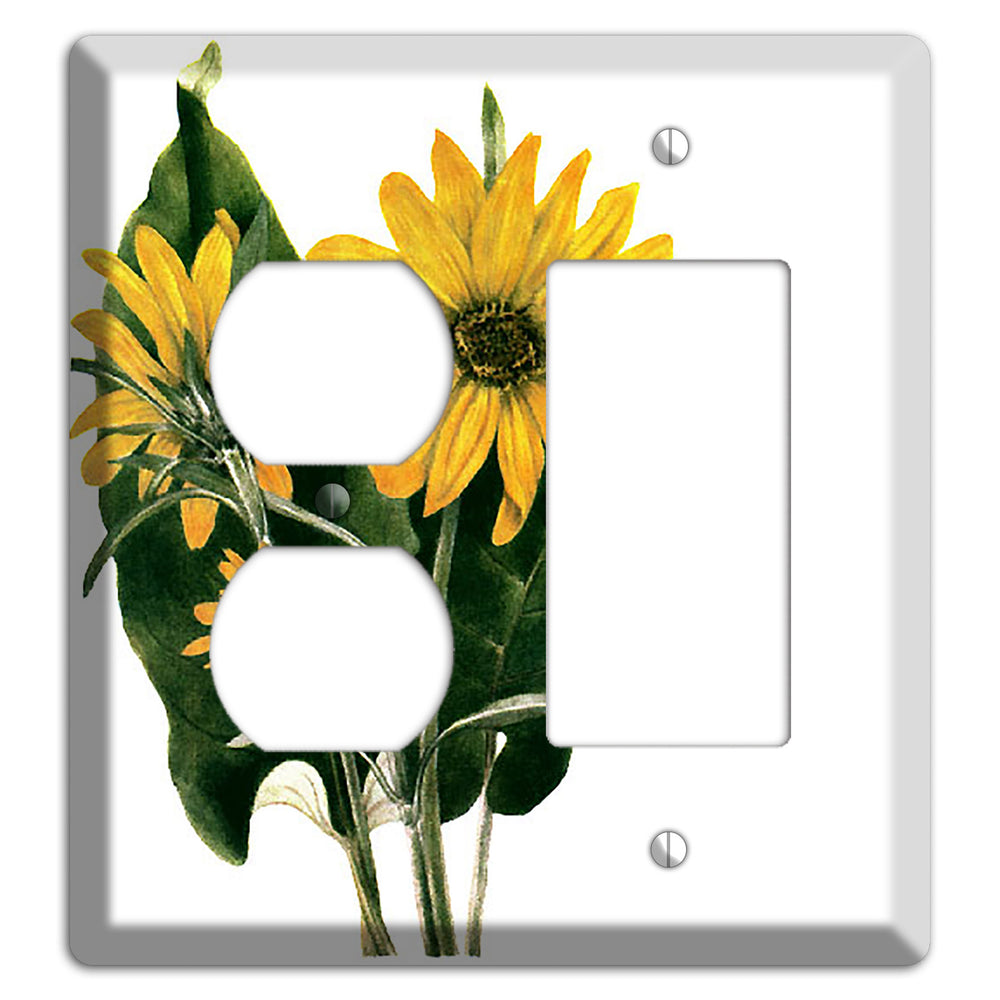 Balsamorhiza Sagittata Duplex / Rocker Wallplate