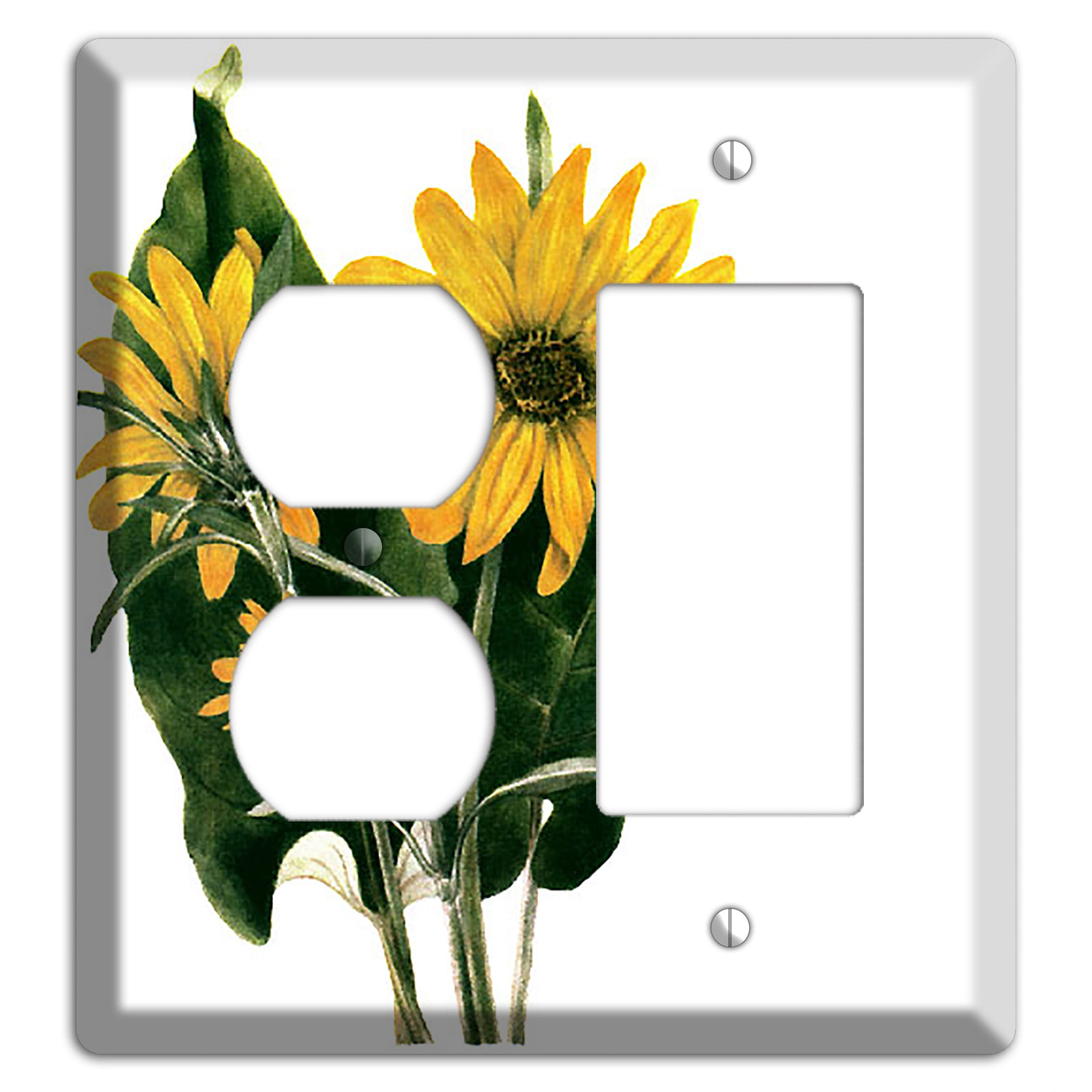 Balsamorhiza Sagittata Duplex / Rocker Wallplate