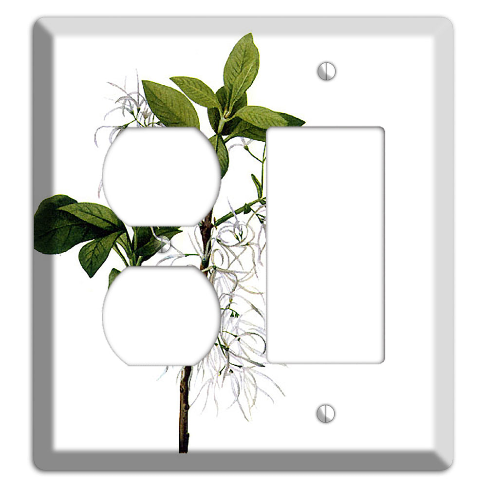 Chionathus Virginiana Duplex / Rocker Wallplate