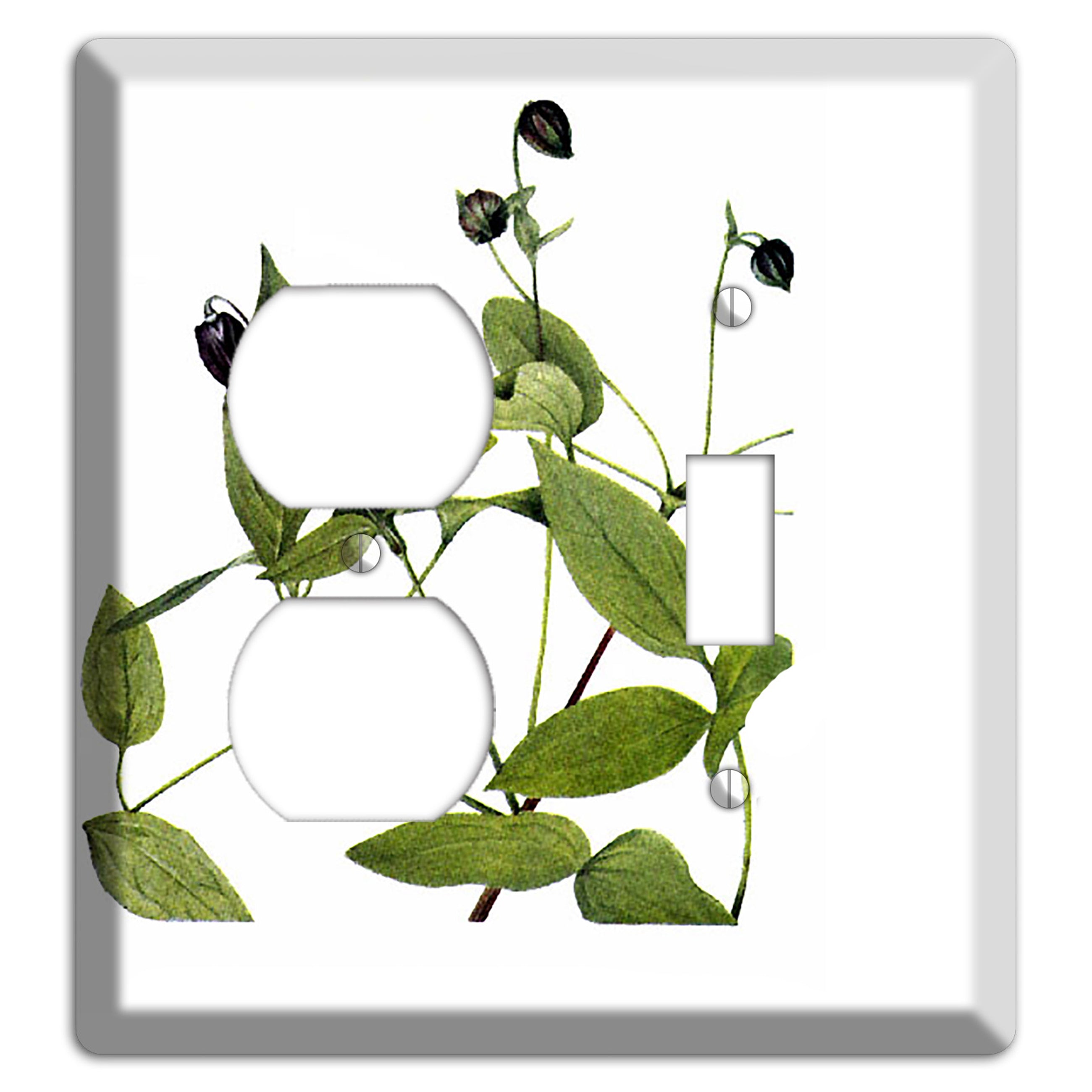 Clematis Viorna Duplex / Toggle Wallplate