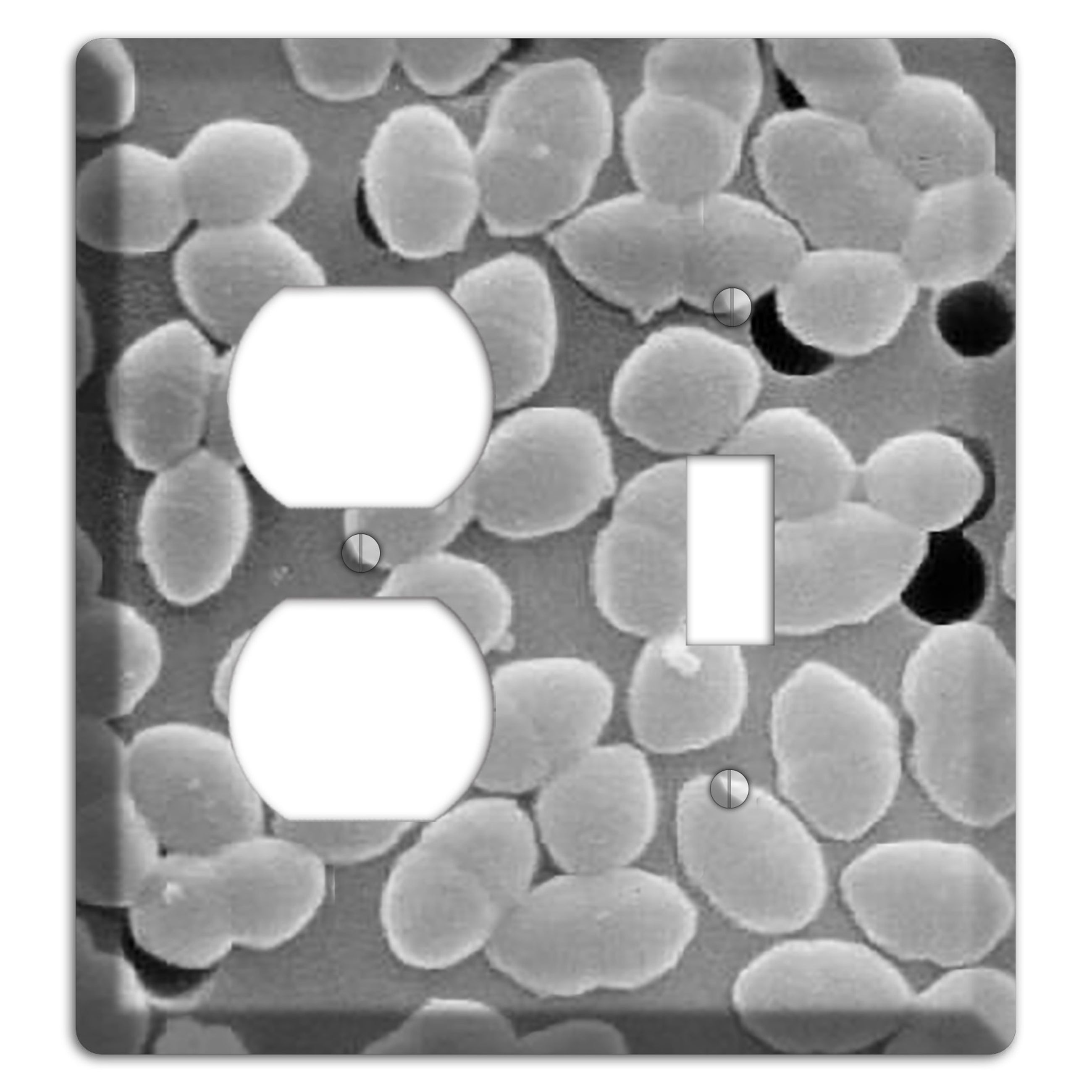 Entercoccus Duplex / Toggle Wallplate