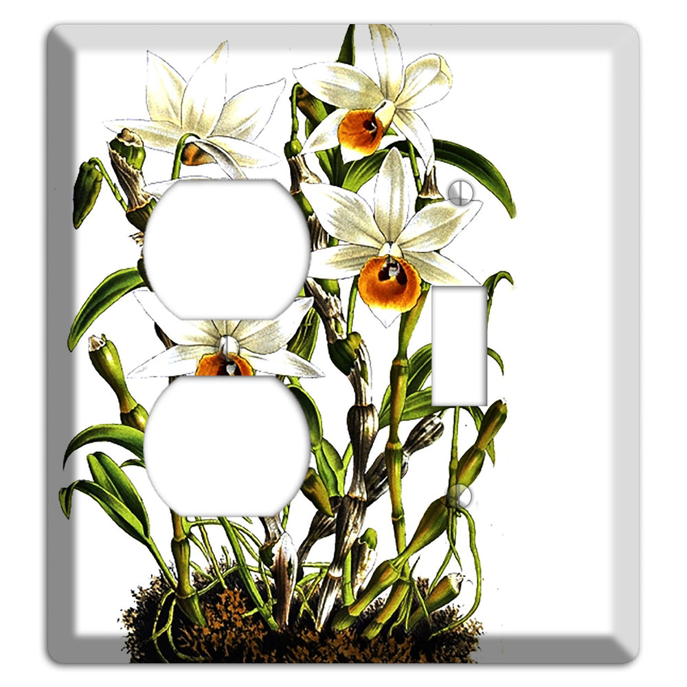 Dendrobium Duplex / Toggle Wallplate