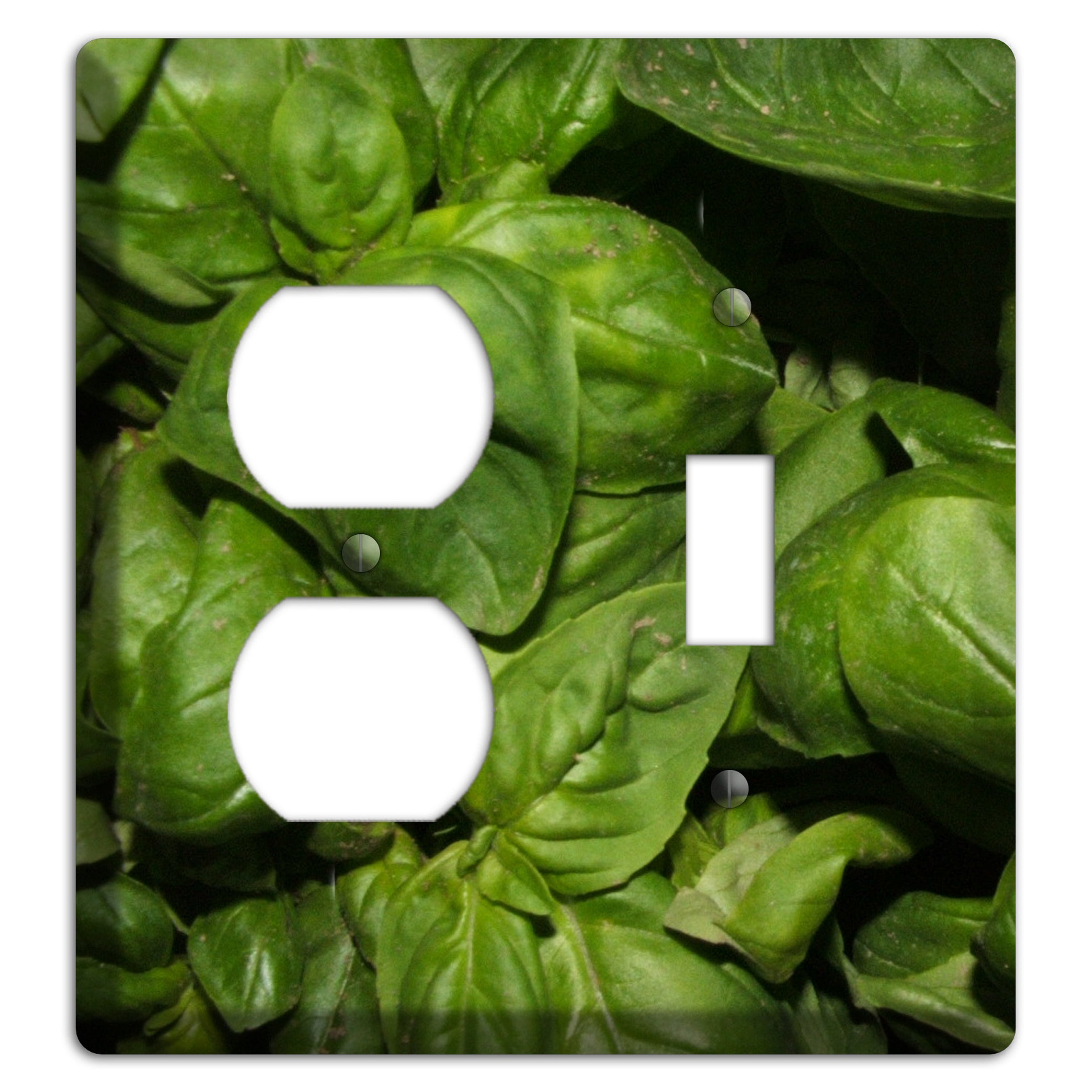 Basil Duplex / Toggle Wallplate