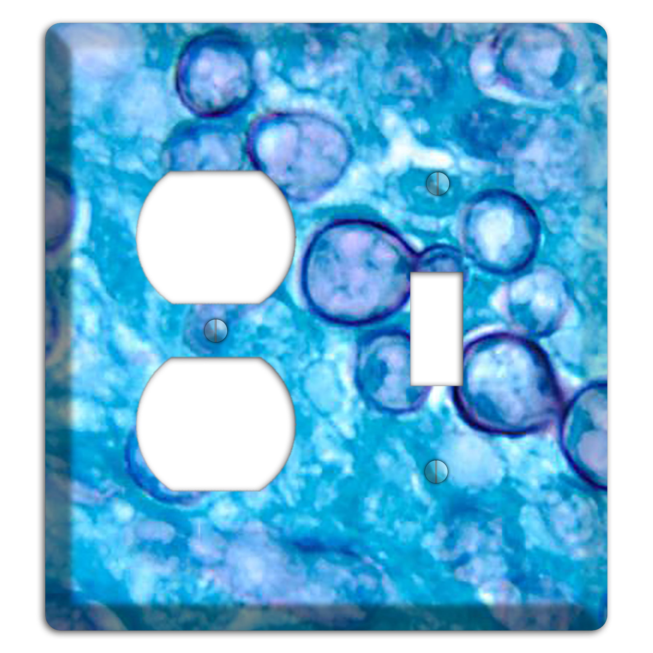 Histoplasma Capsulatum Duboisii Duplex / Toggle Wallplate