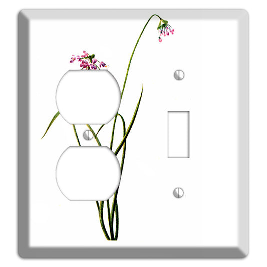 Allium Cernum Duplex / Toggle Wallplate