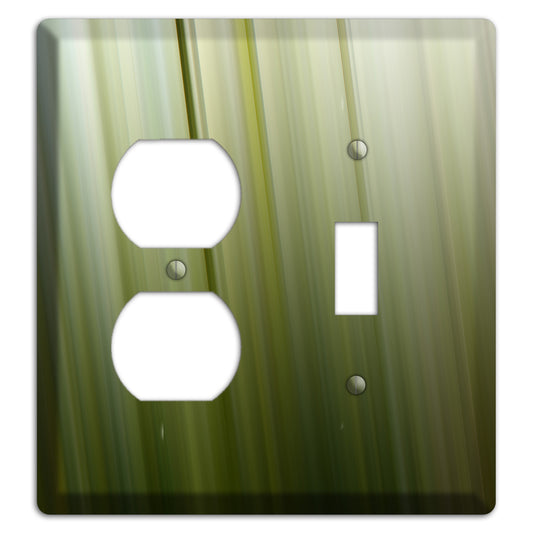 Olive Ray of Light 2 Duplex / Toggle Wallplate