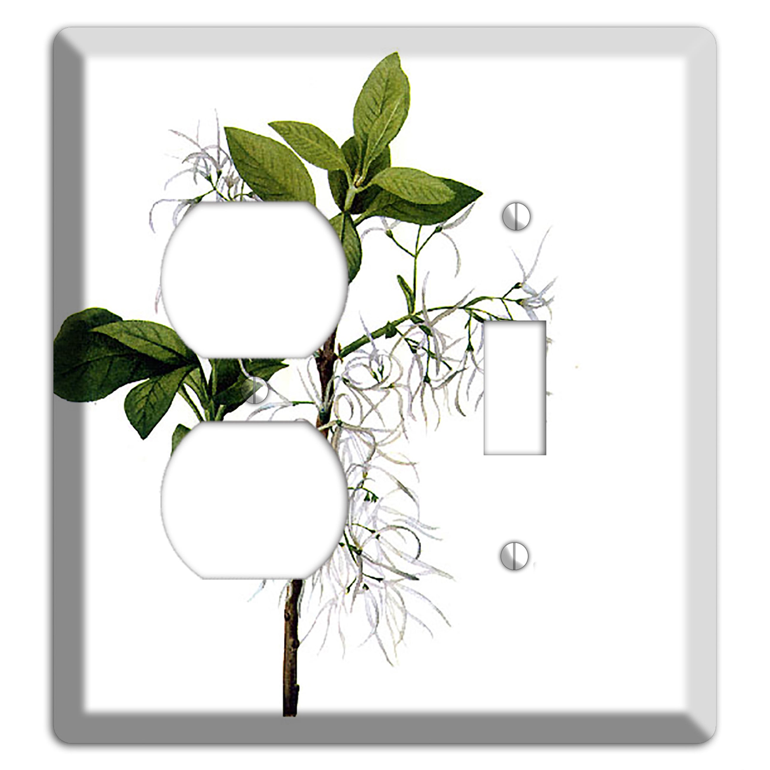 Chionathus Virginiana Duplex / Toggle Wallplate