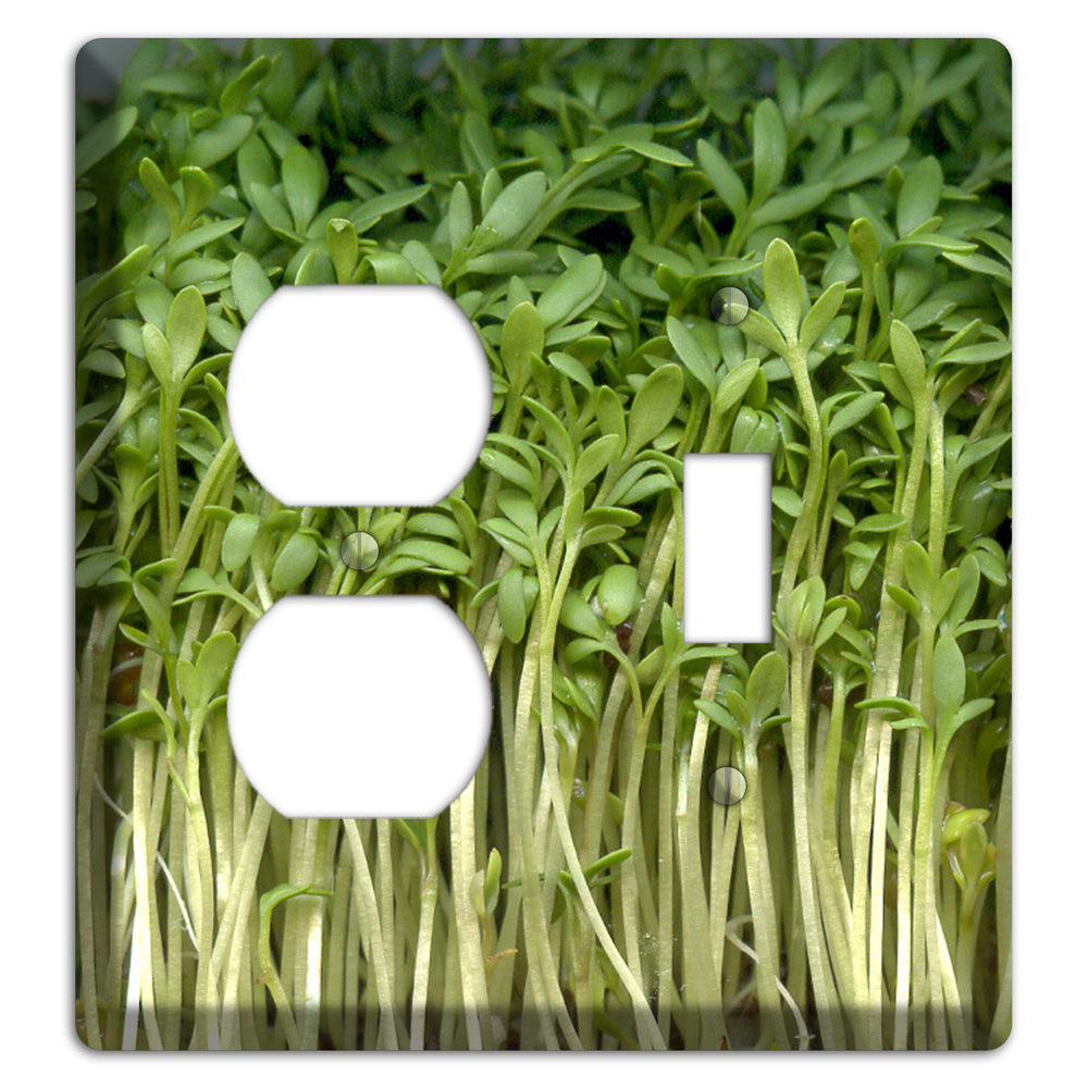 Sprouts Duplex / Toggle Wallplate