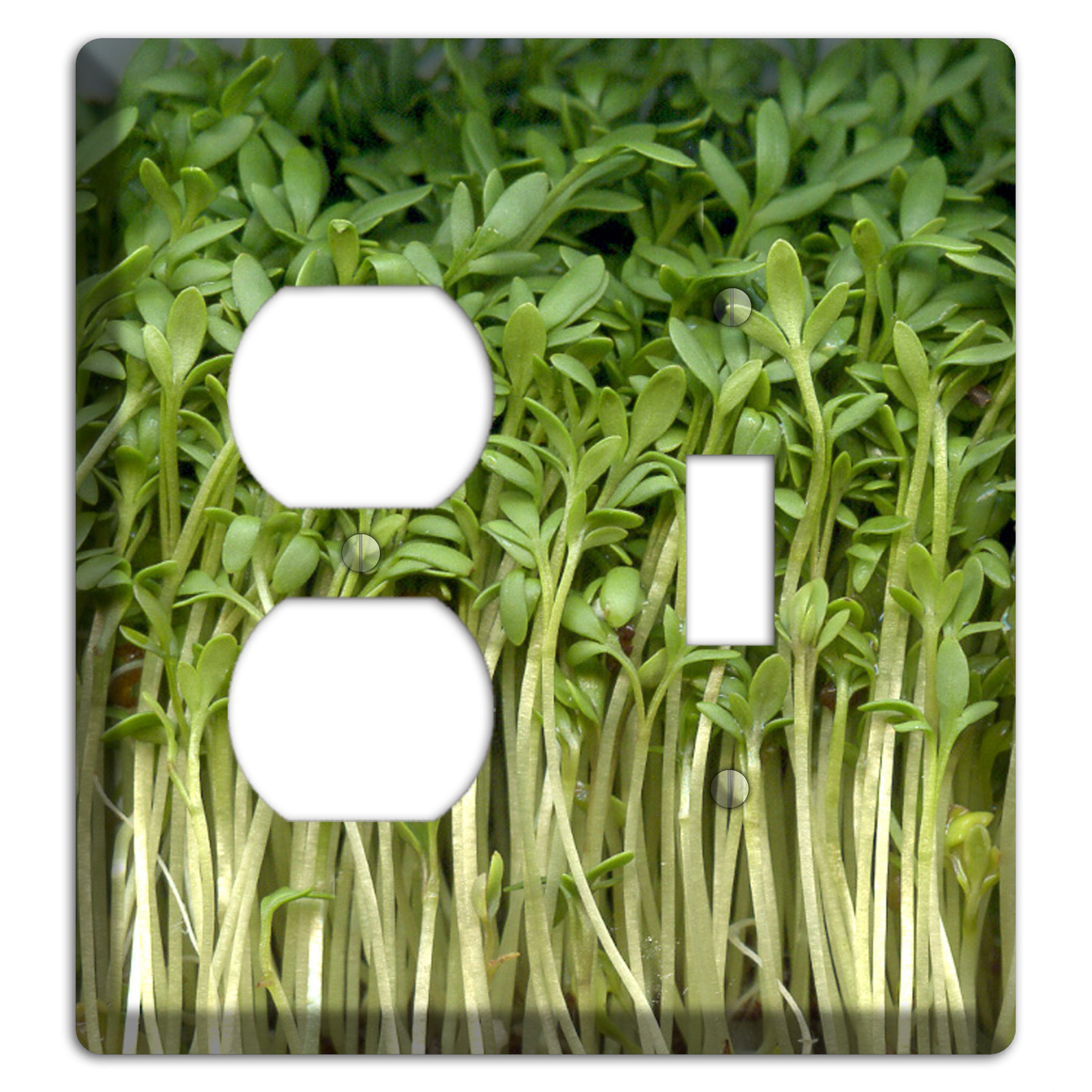 Sprouts Duplex / Toggle Wallplate