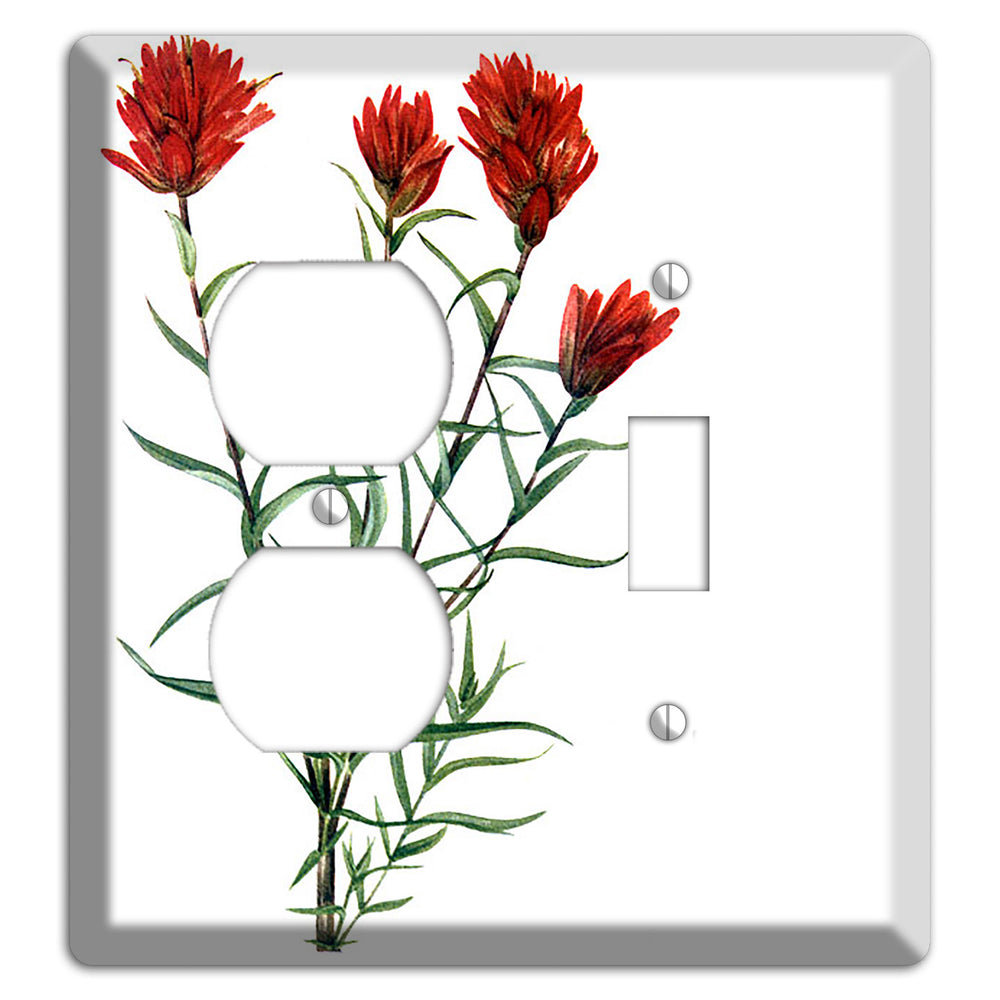 Castilleja Linarifolia Duplex / Toggle Wallplate
