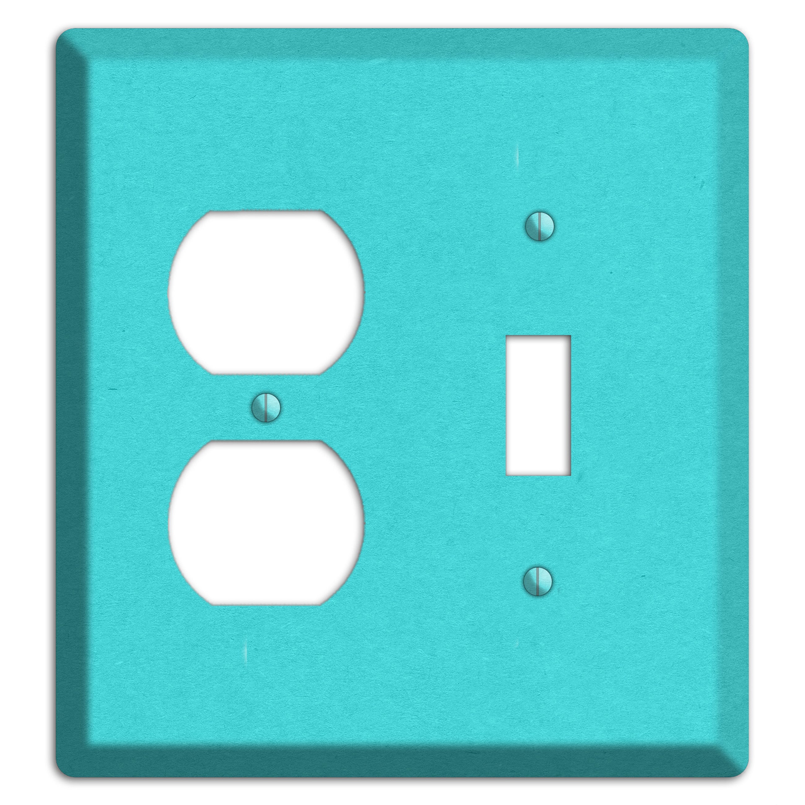 Turquoise Kraft Duplex / Toggle Wallplate