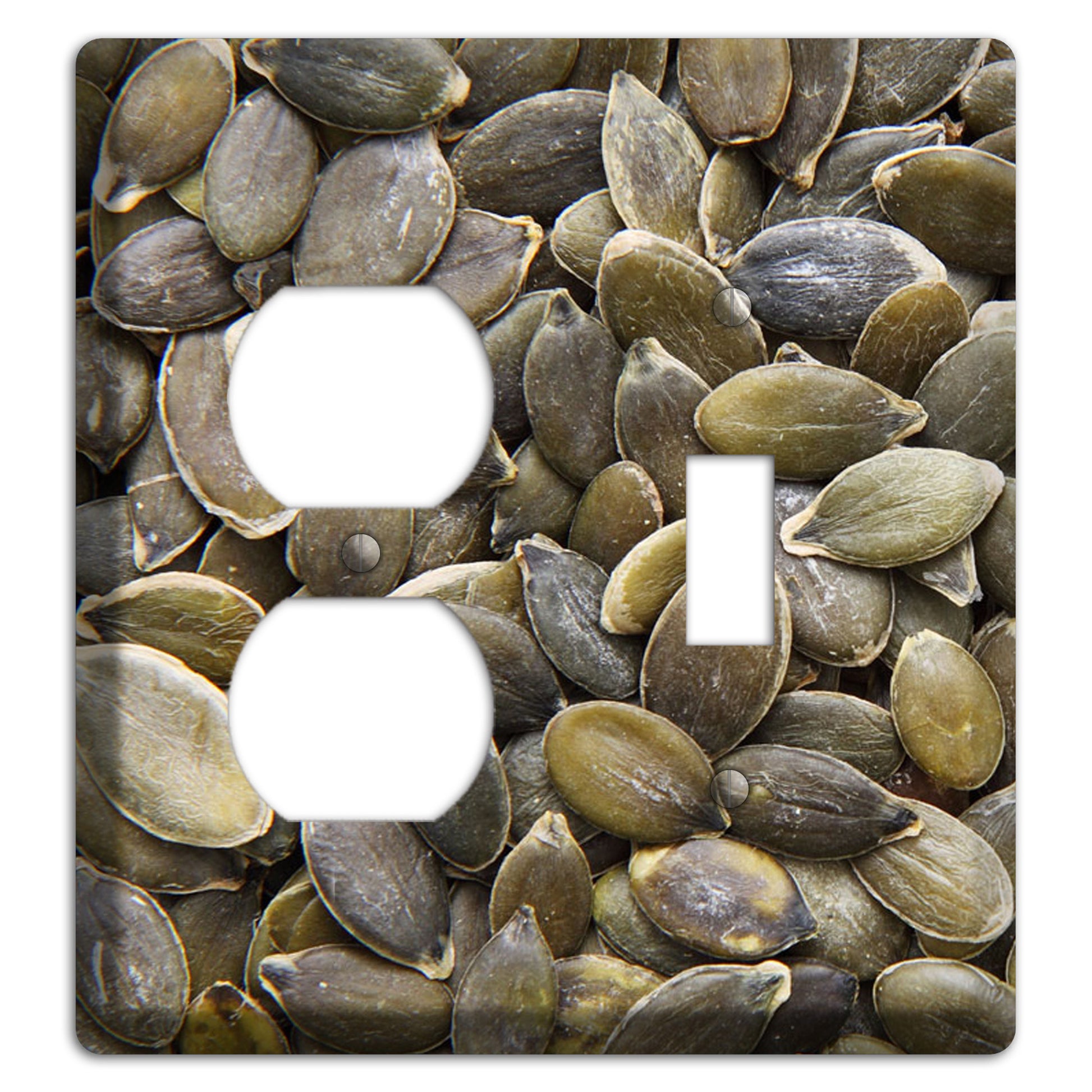 Sunflowers Seeds Duplex / Toggle Wallplate