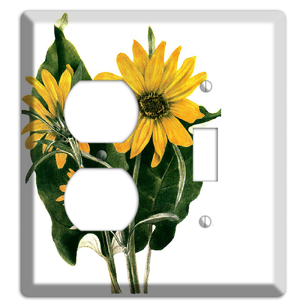 Balsamorhiza Sagittata Duplex / Toggle Wallplate