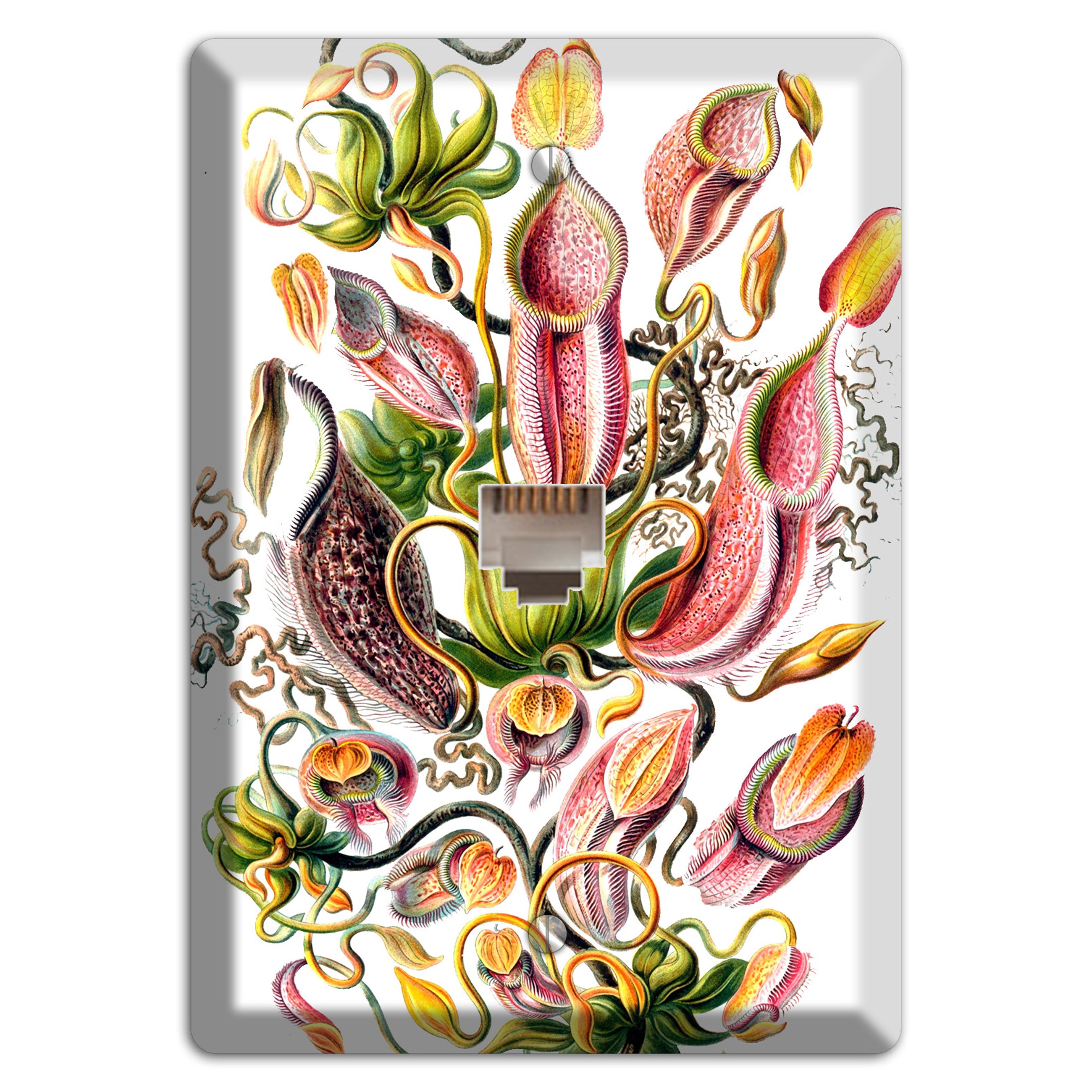 Haechel Phone Wallplate