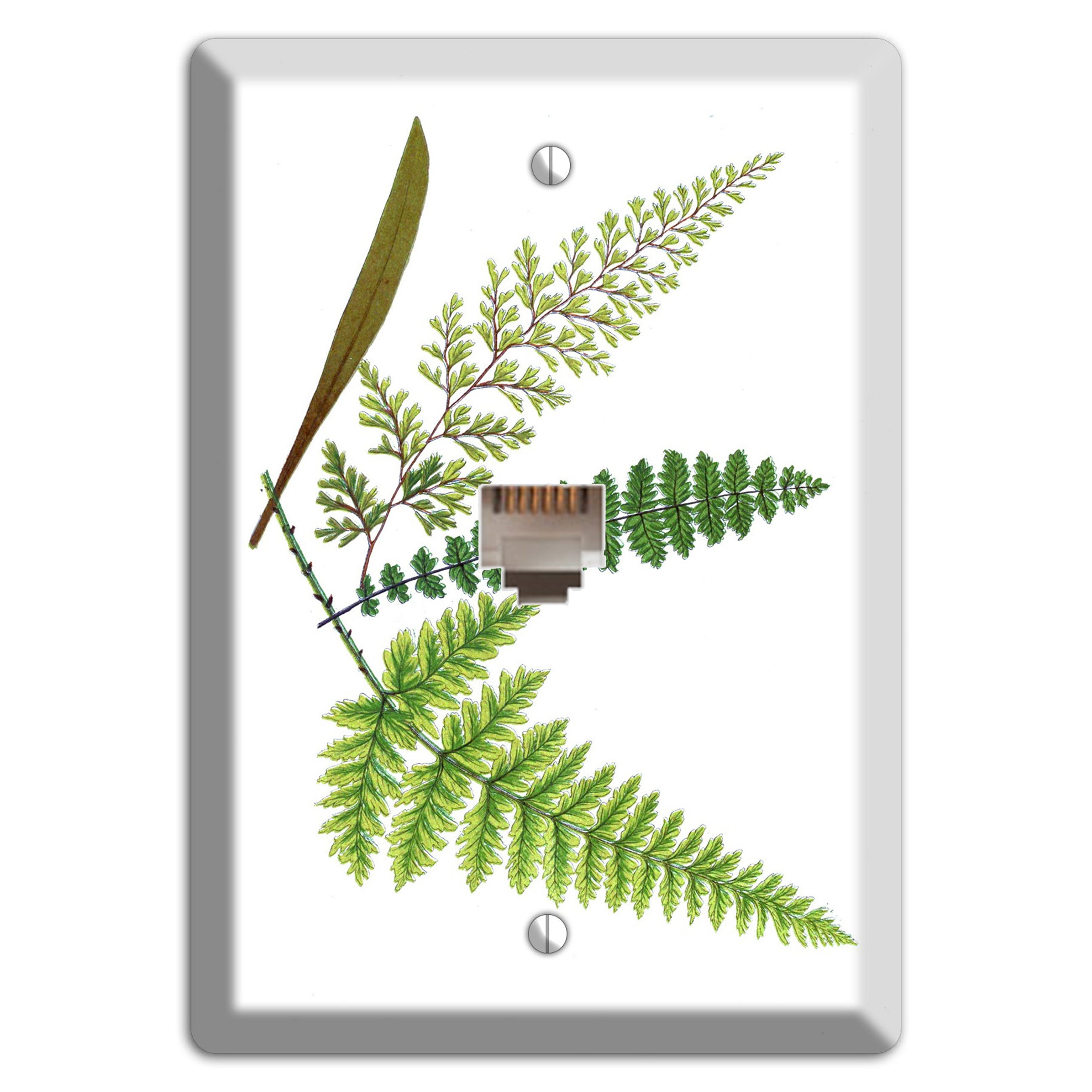 Ferns Phone Wallplate
