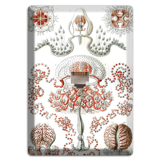 Haeckel - Anthomedusae Phone Wallplate