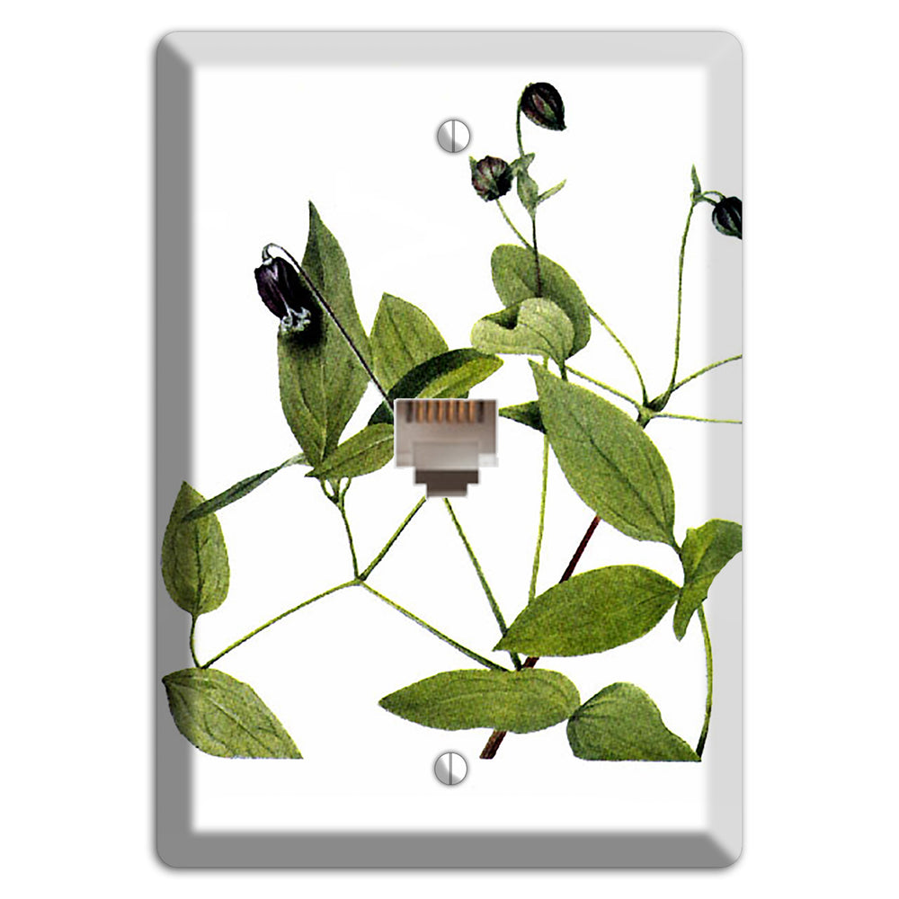Clematis Viorna Phone Wallplate