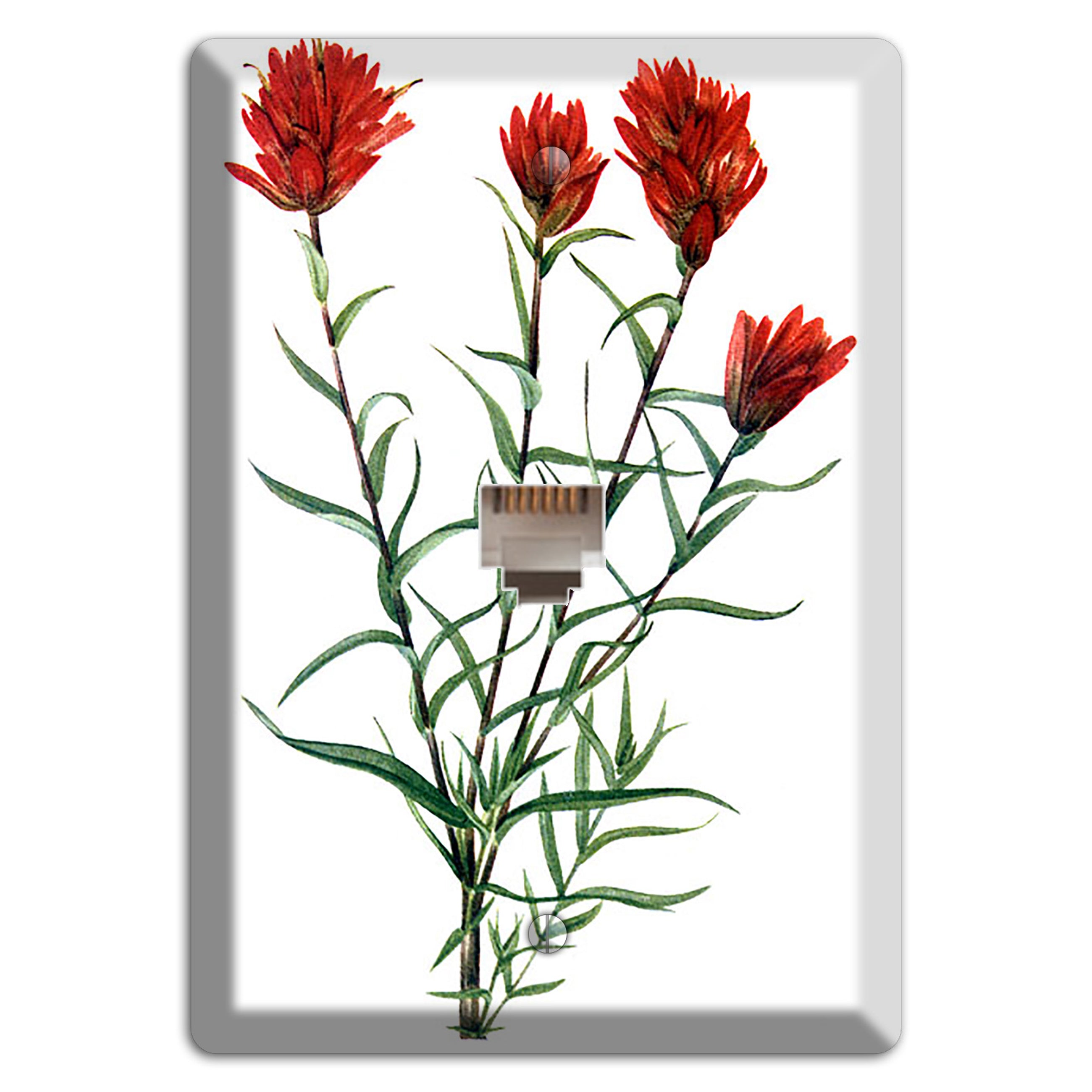Castilleja Linarifolia Phone Wallplate