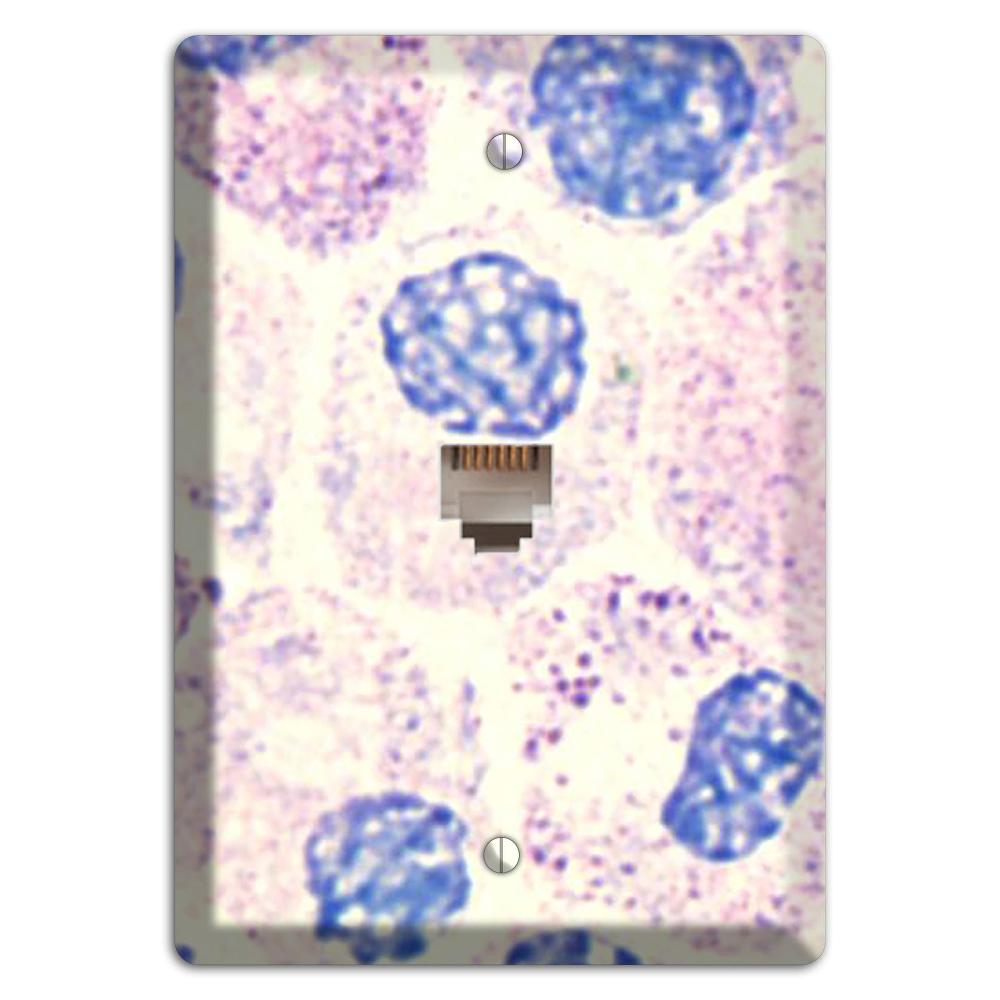 SMC Polyhydroxy Phone Wallplate