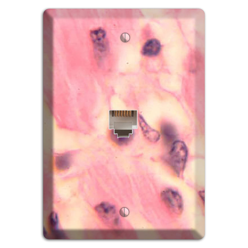 Trypanosoma Cruzi Heart Phone Wallplate