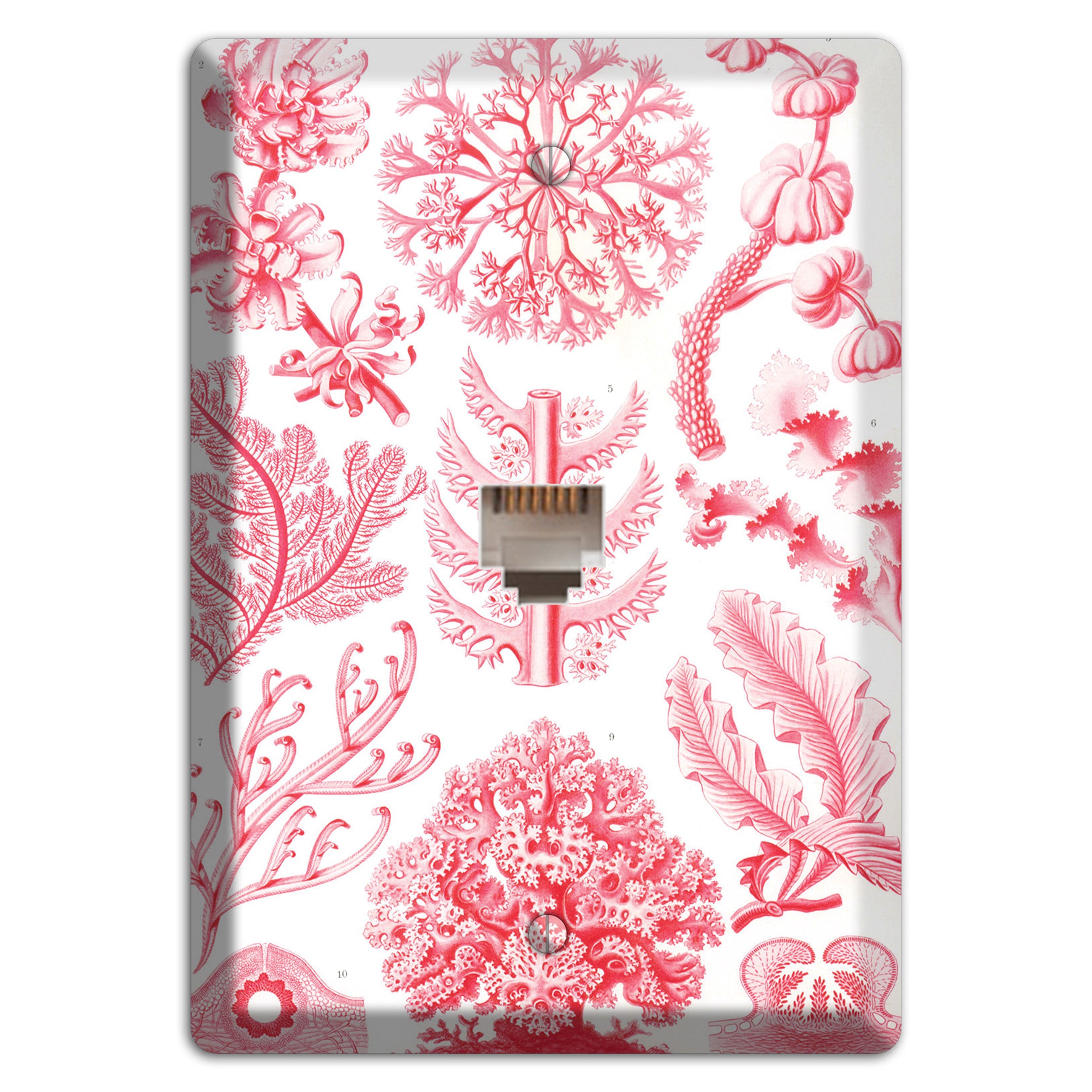 Haeckel - Florideae Phone Wallplate