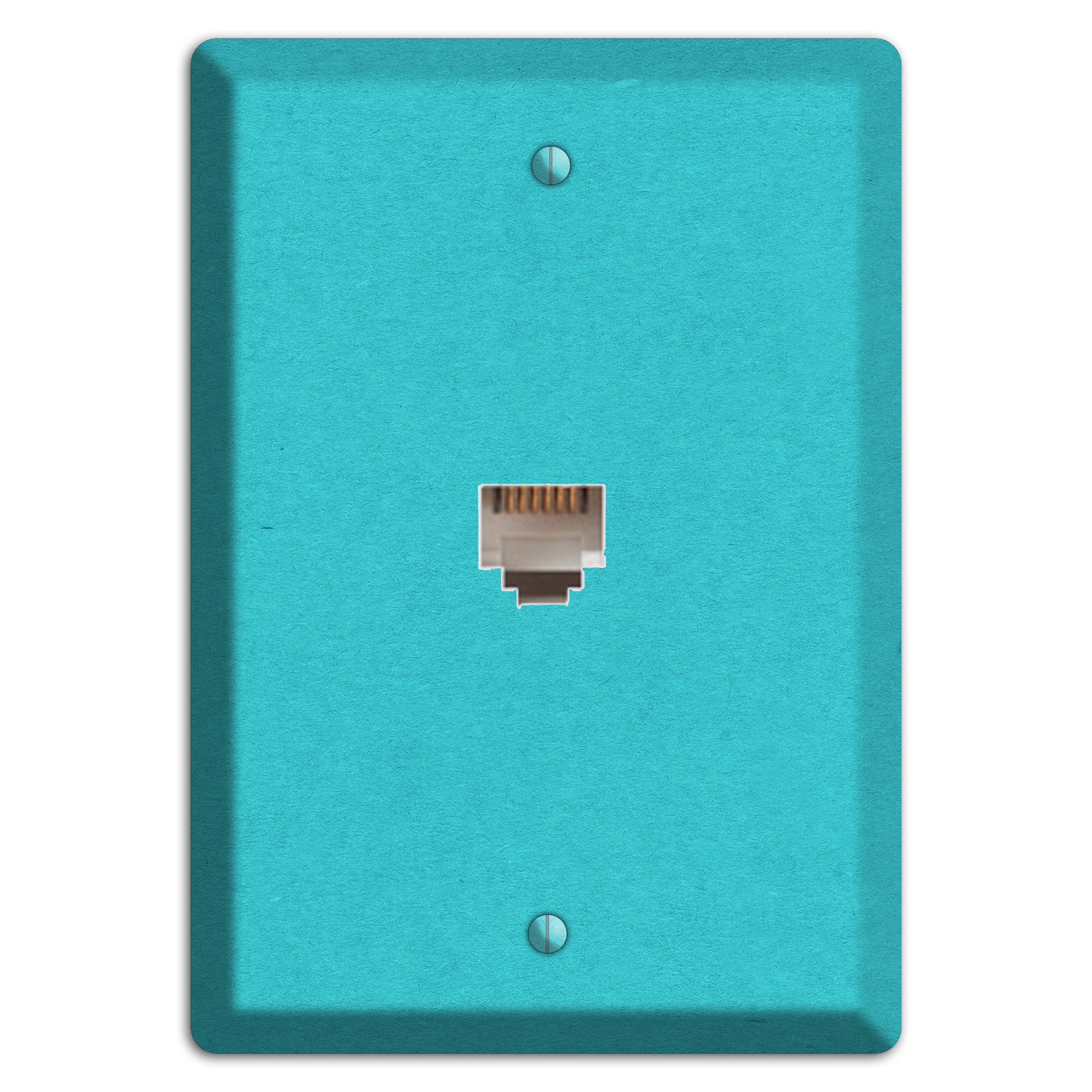 Medium Turquoise Kraft Phone Wallplate