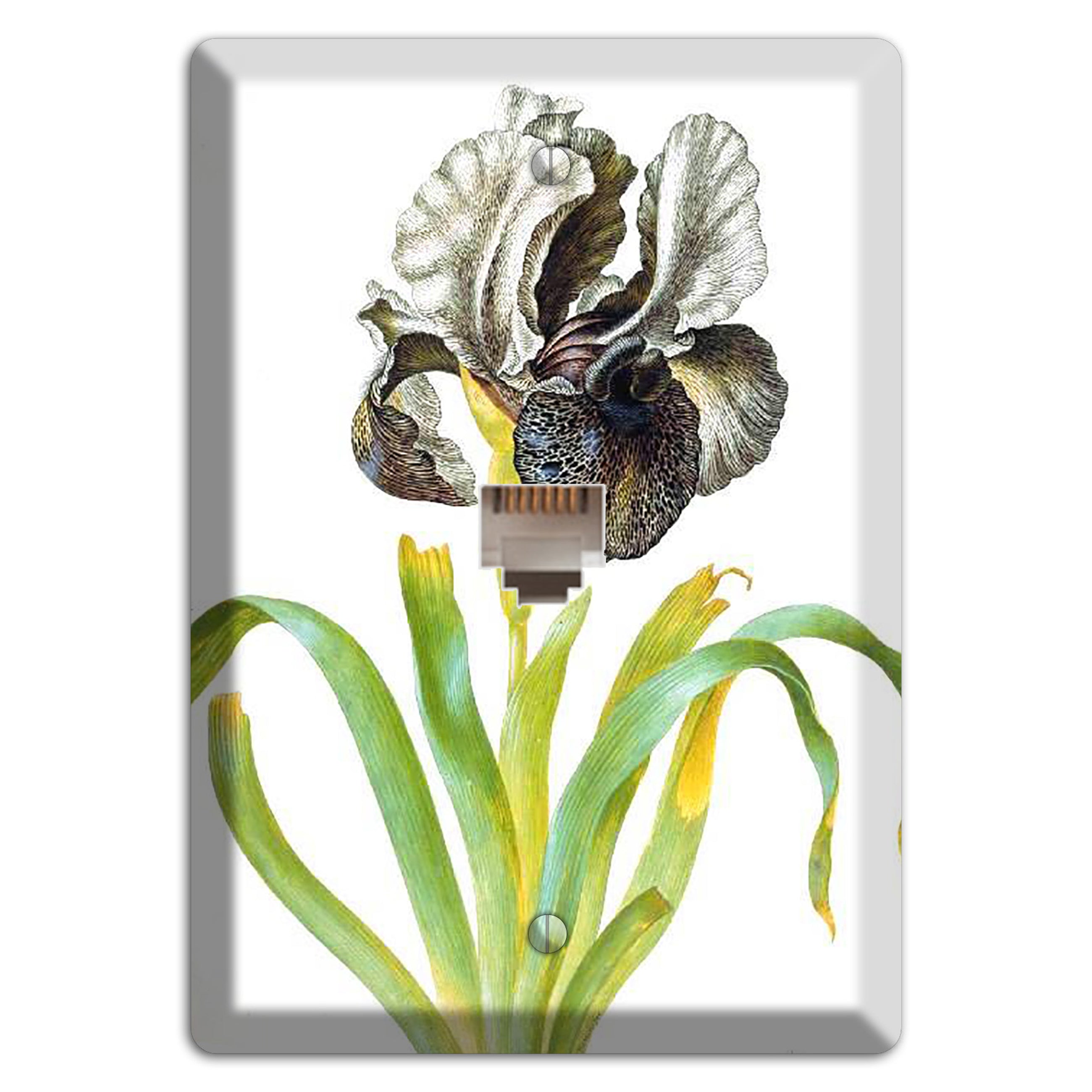 Susaniana Phone Wallplate