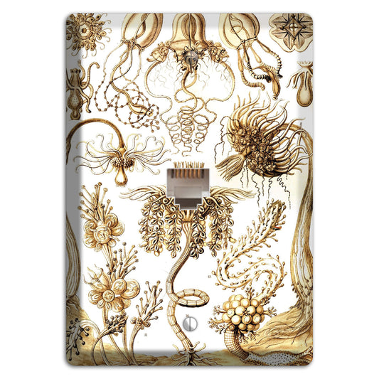 Haeckel - Tubulariae Phone Wallplate
