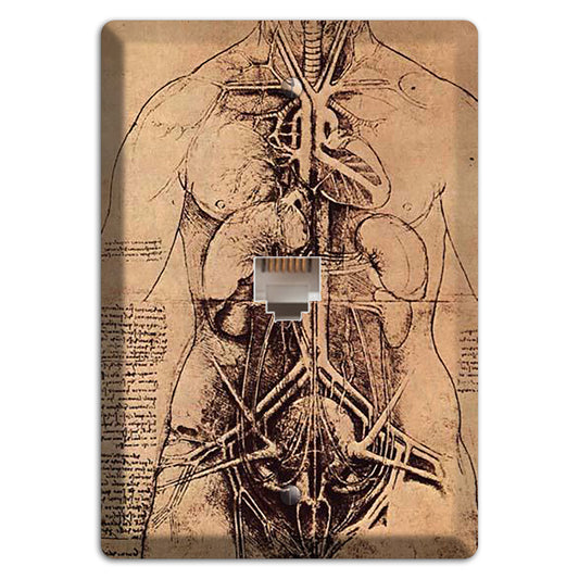 Da Vinci - Principle Organs Phone Wallplate