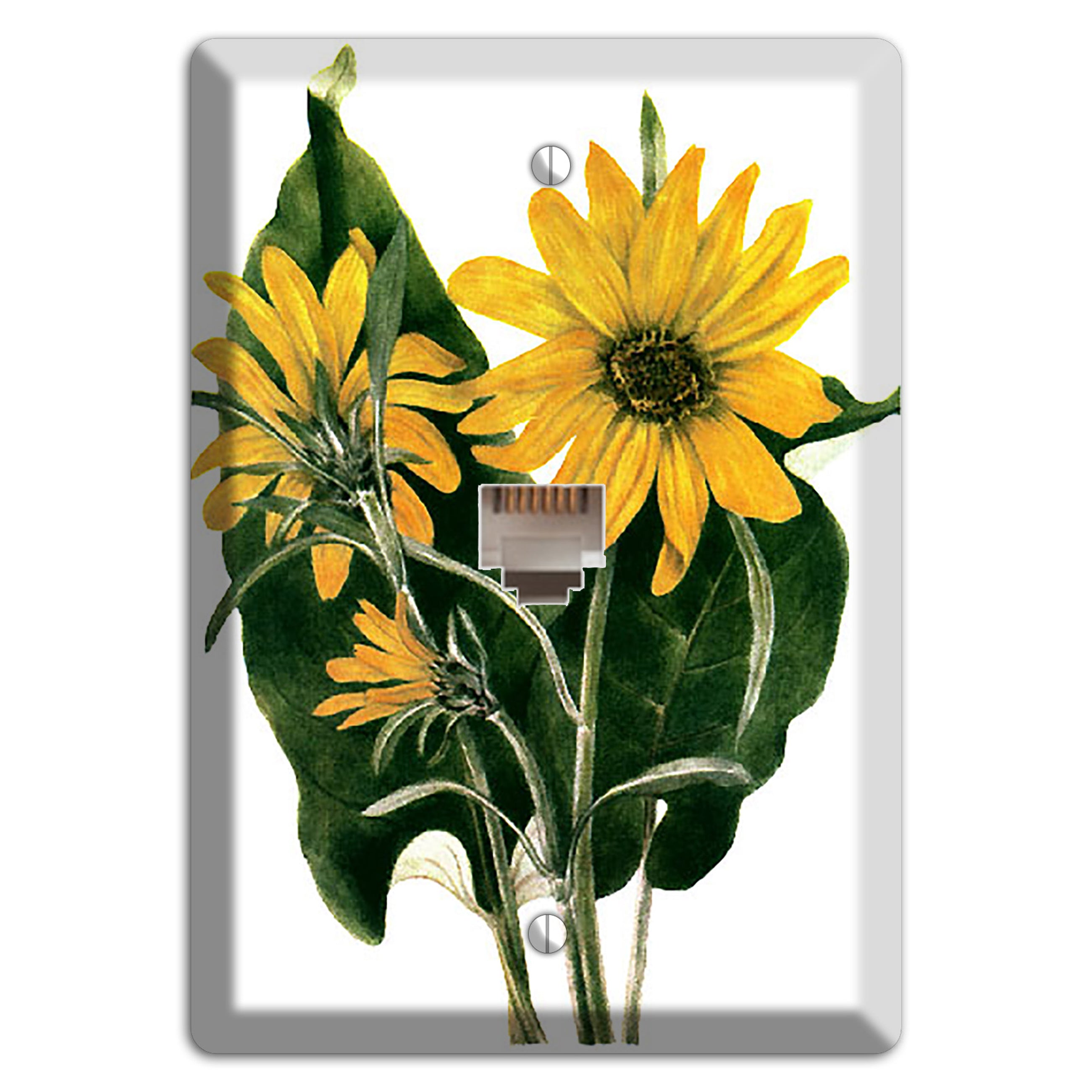 Balsamorhiza Sagittata Phone Wallplate