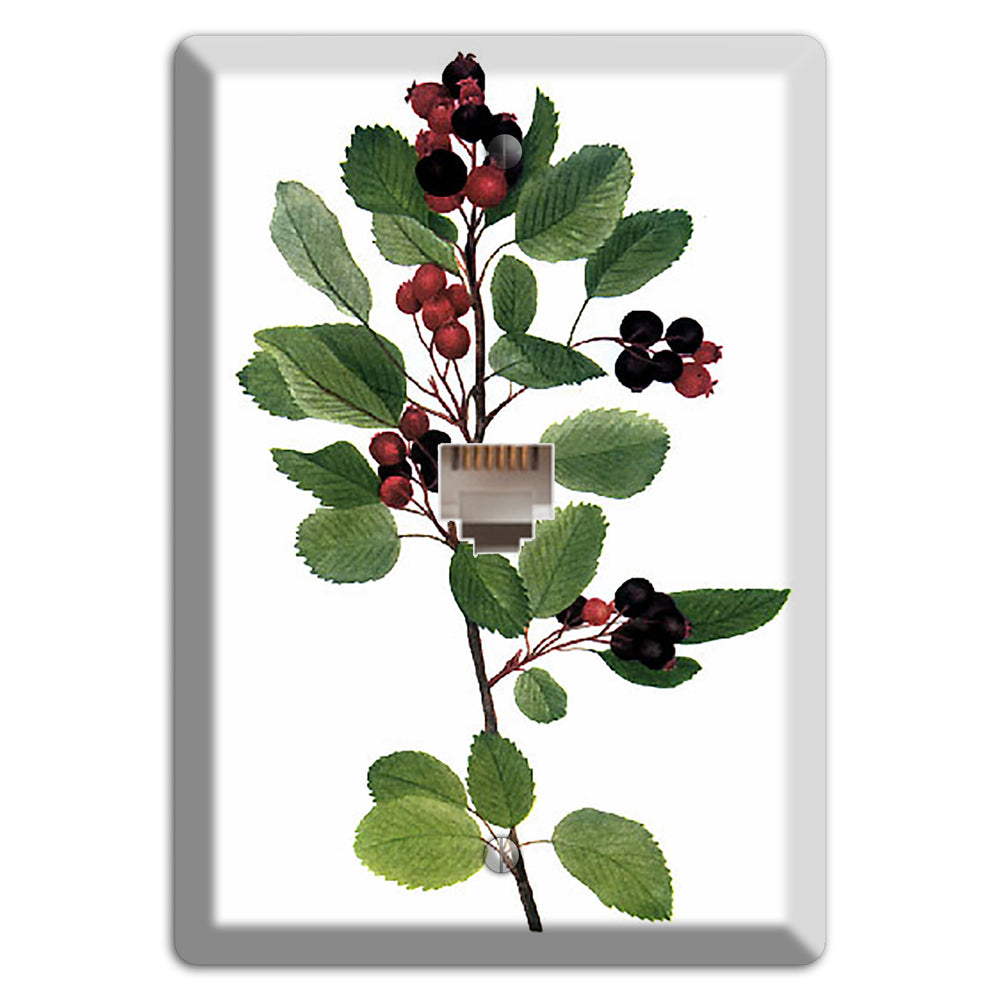 Amelanchier Ainifolia Phone Wallplate