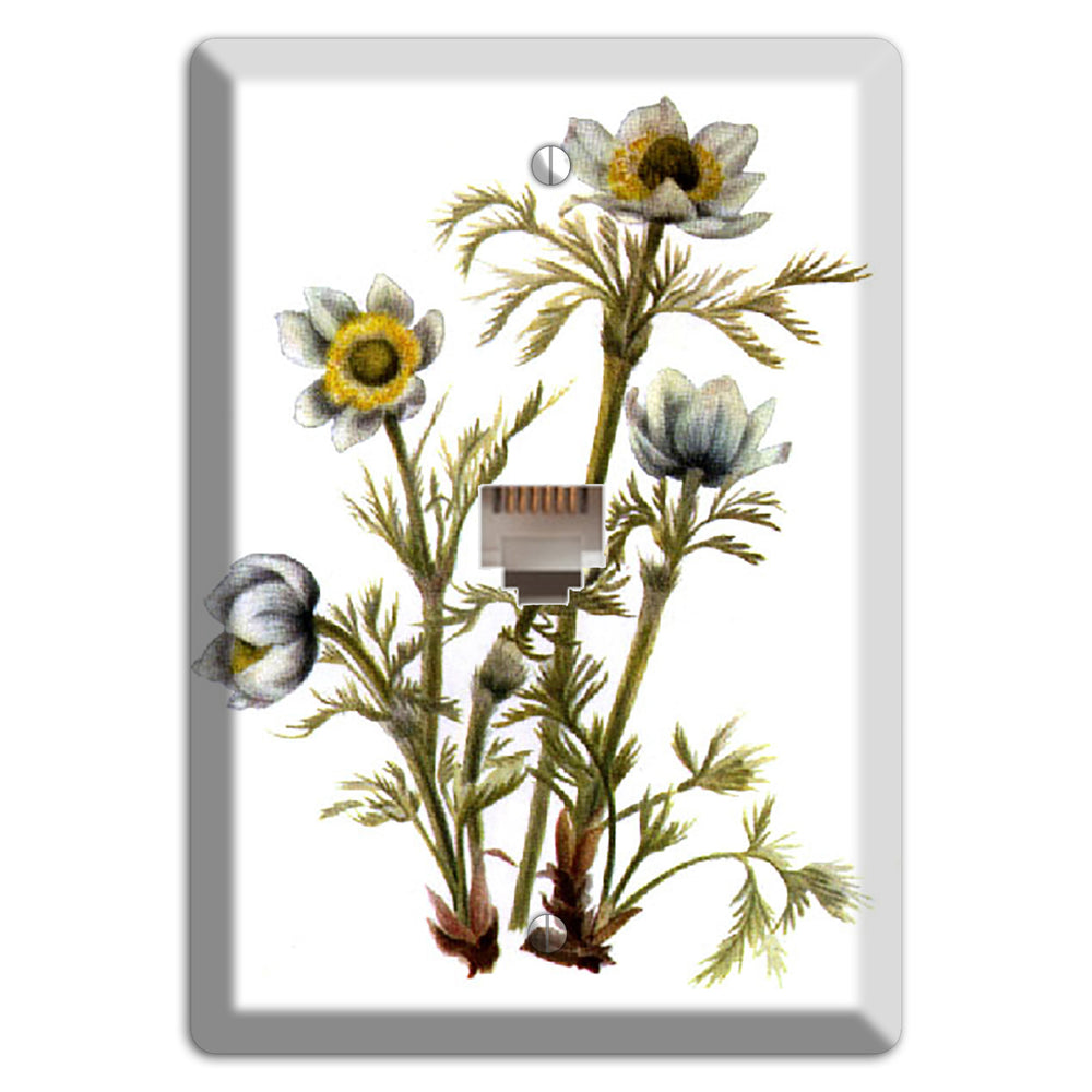 Aenmone Occitentalis Phone Wallplate