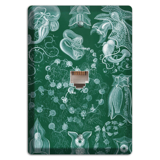 Haeckel - Siphonophorae 2 Phone Wallplate